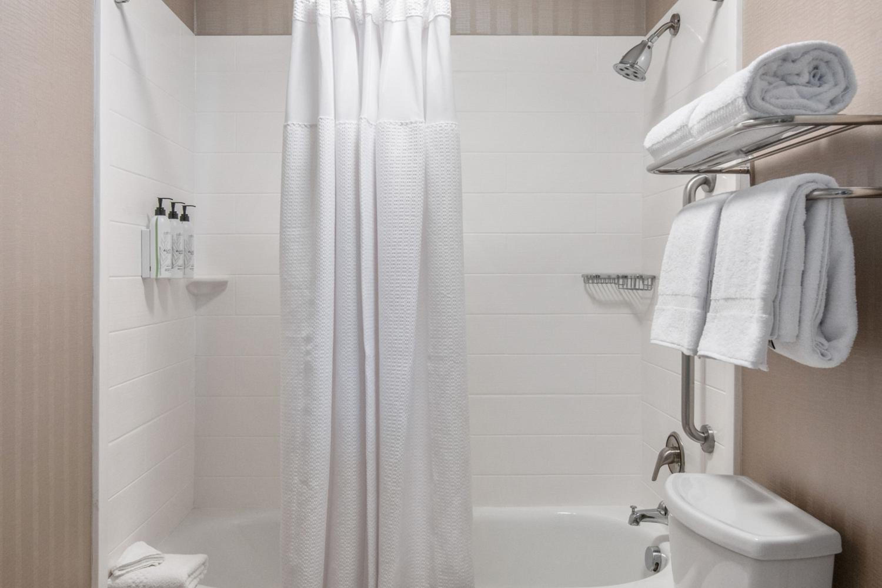 Queen Suite with Sofa Bed