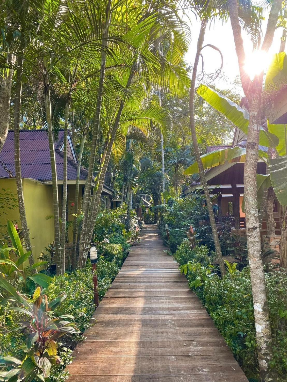 Twin Room with Garden View