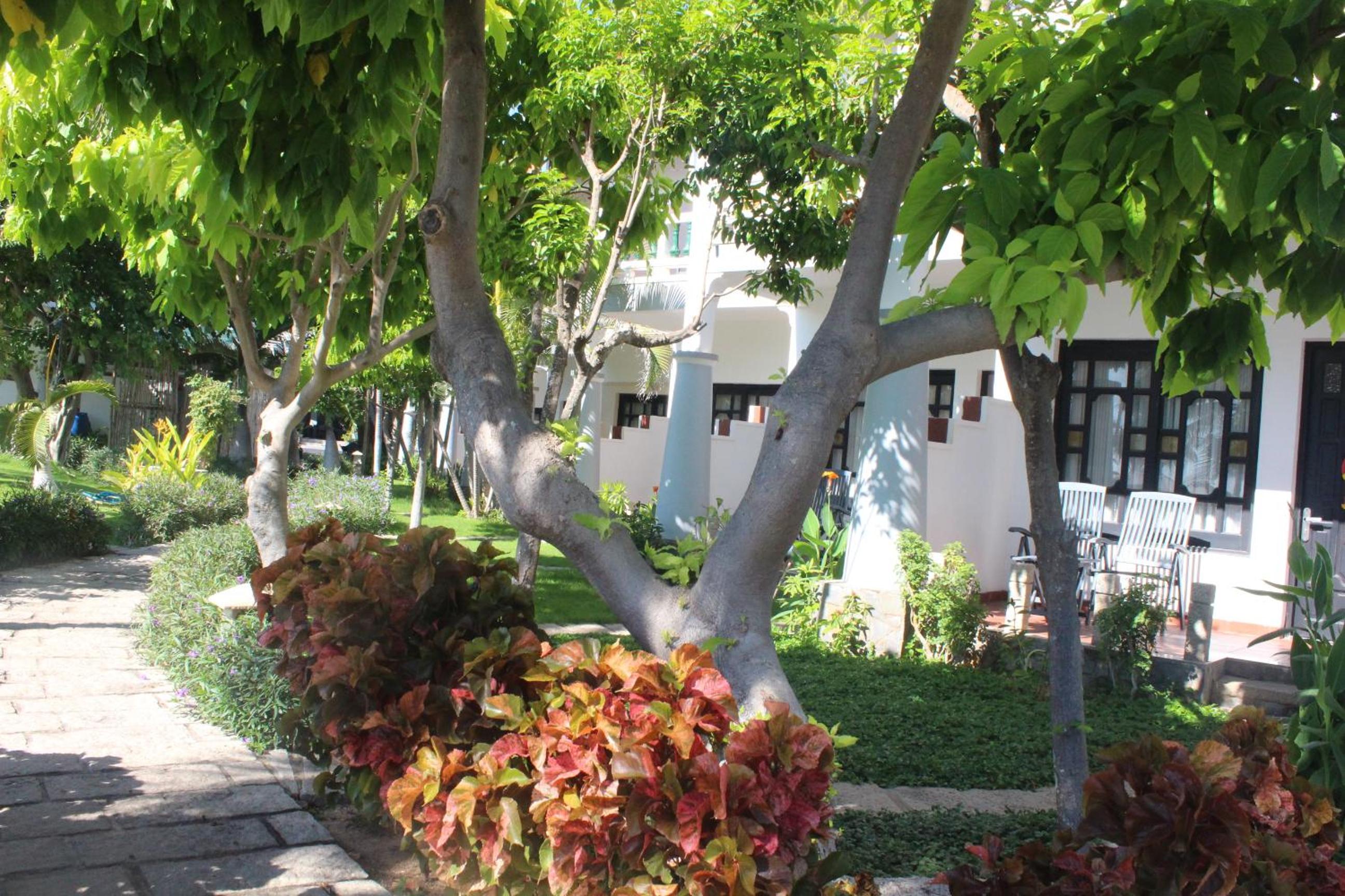 Superior Double or Twin Room with Sea View