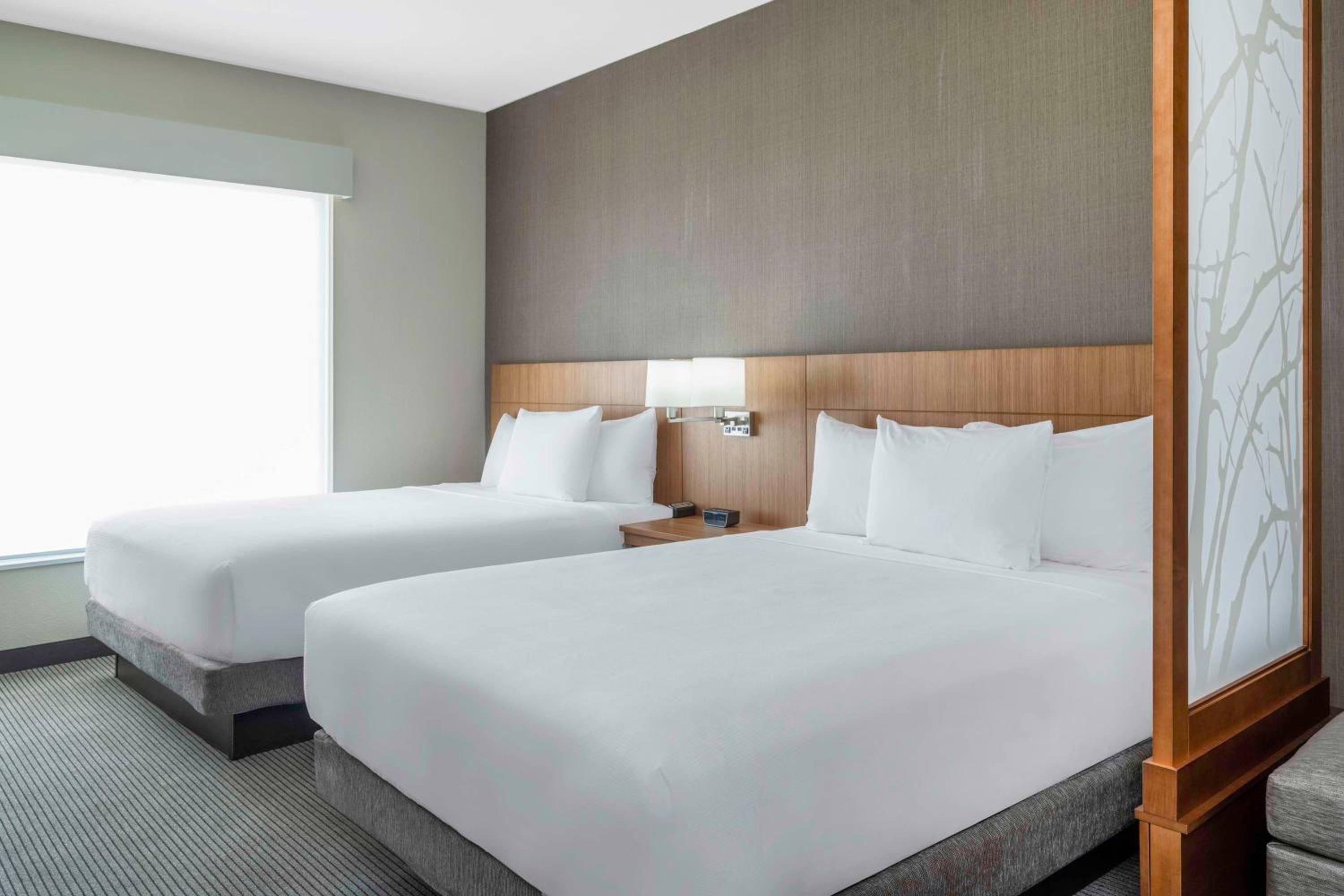 Queen Room with Sofa Bed and Accessible Shower - Disability Access