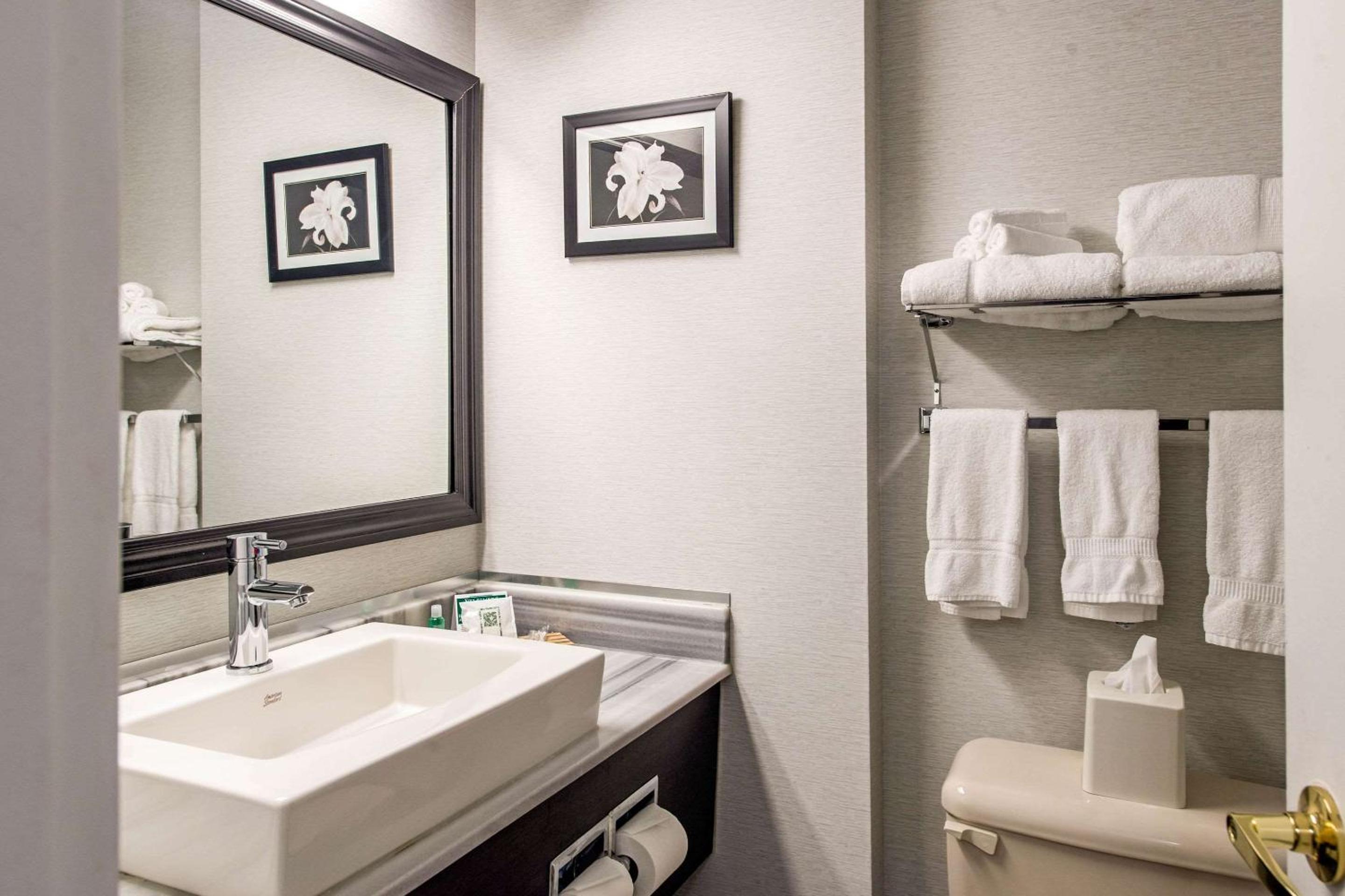 Executive King Room