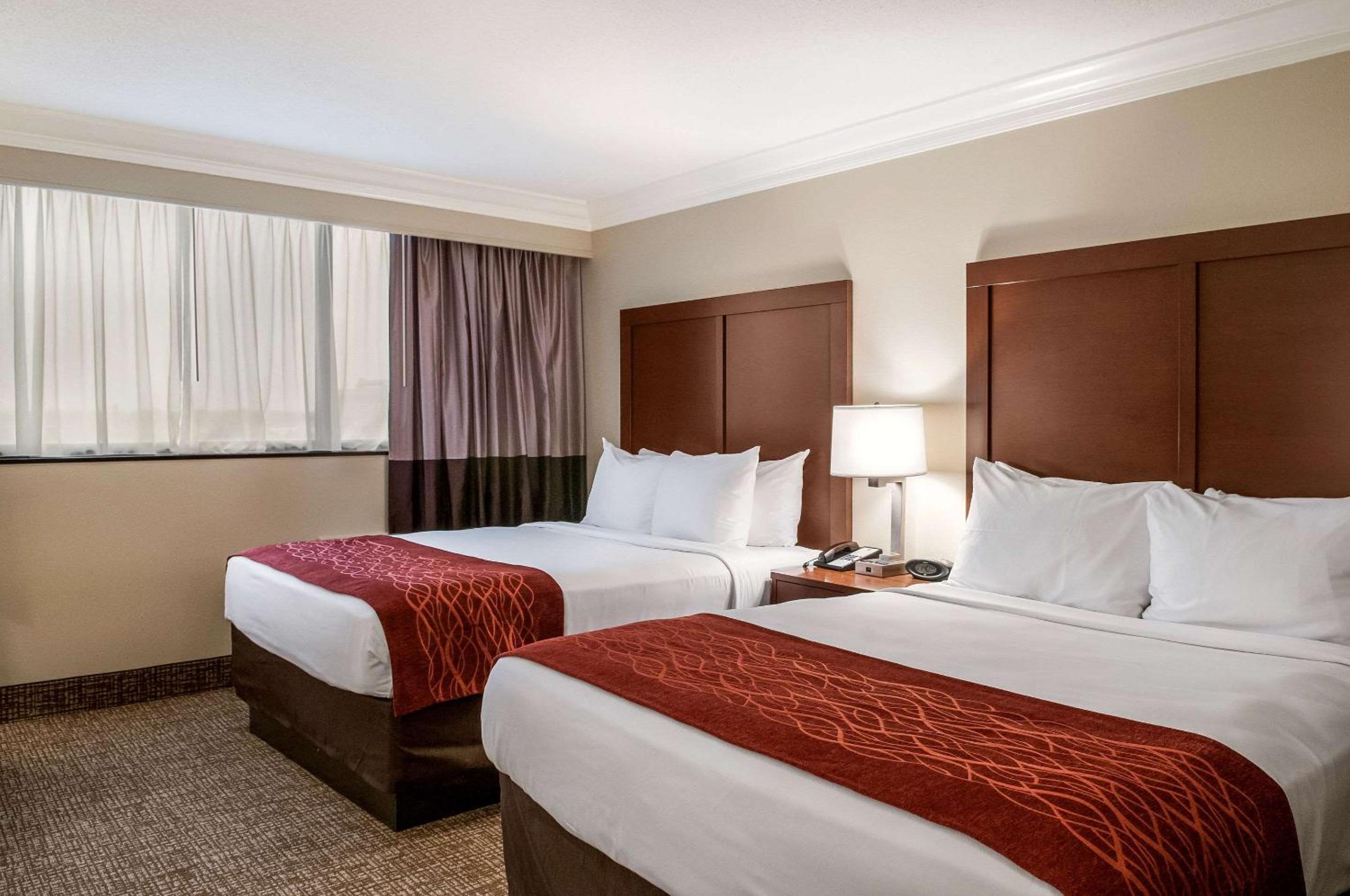 Queen Room with Two Queen Beds - Non-Smoking