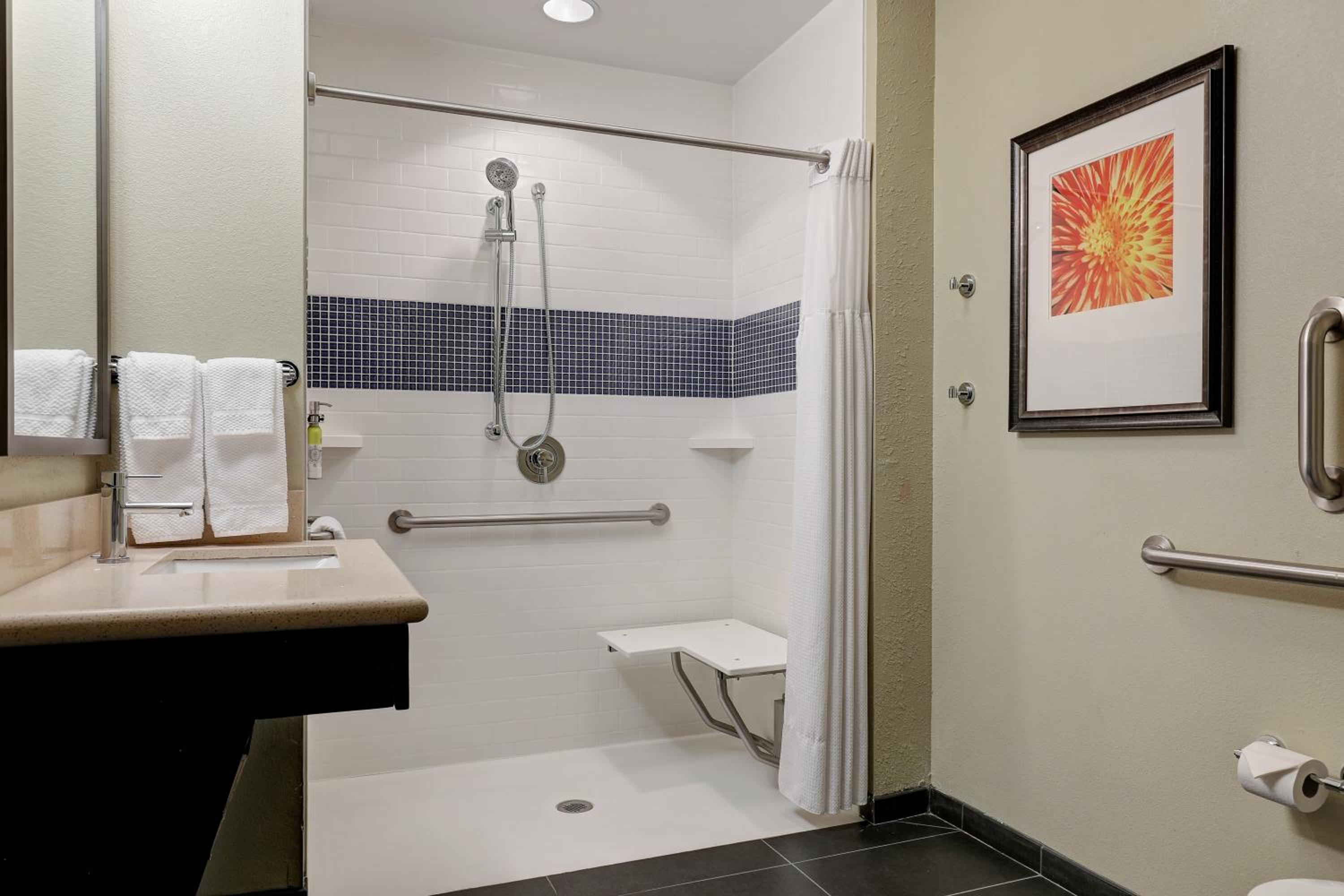 One-Bedroom King Suite with Roll-in Shower - Communications Access
