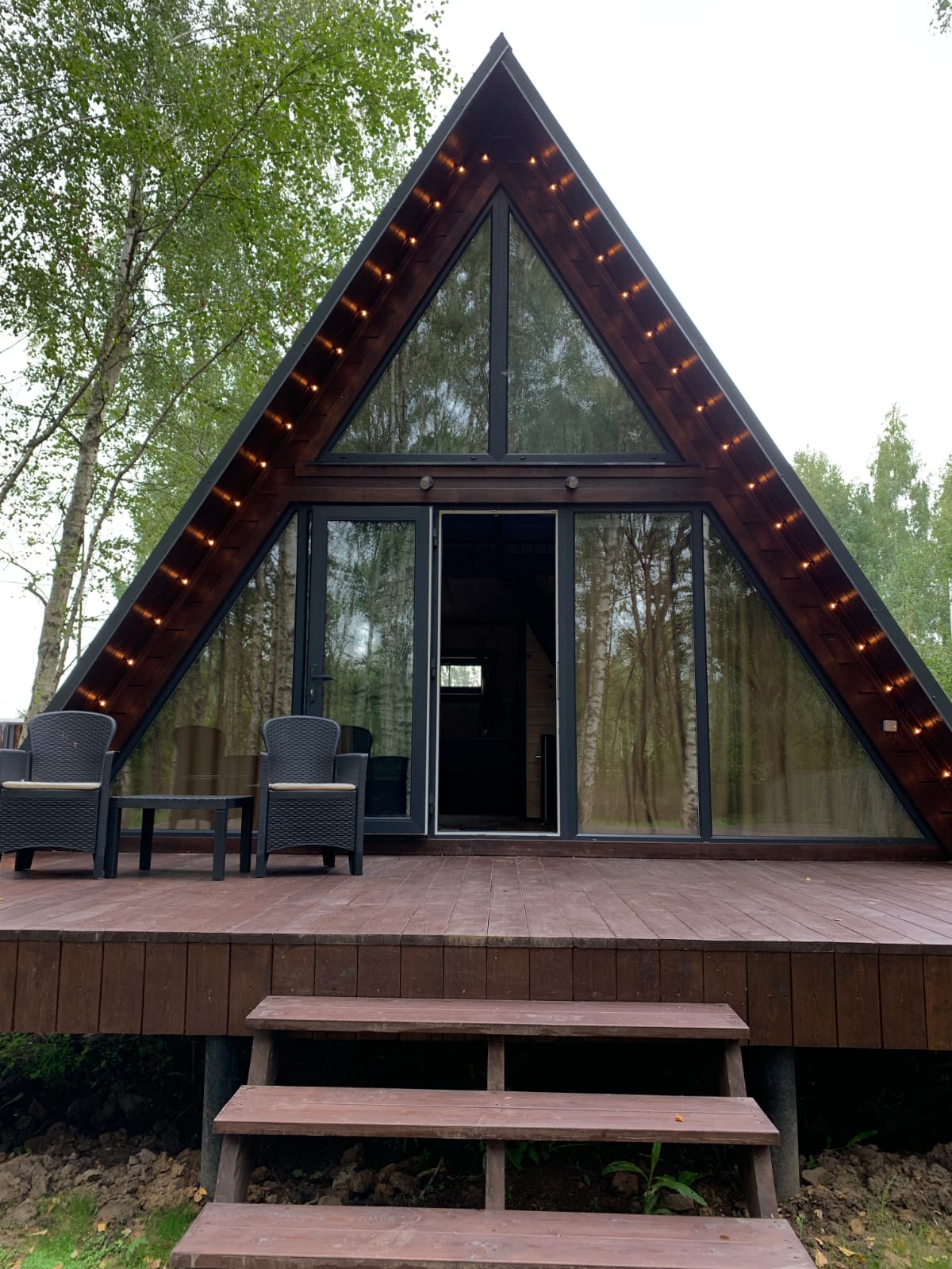 Дом с видом на лес