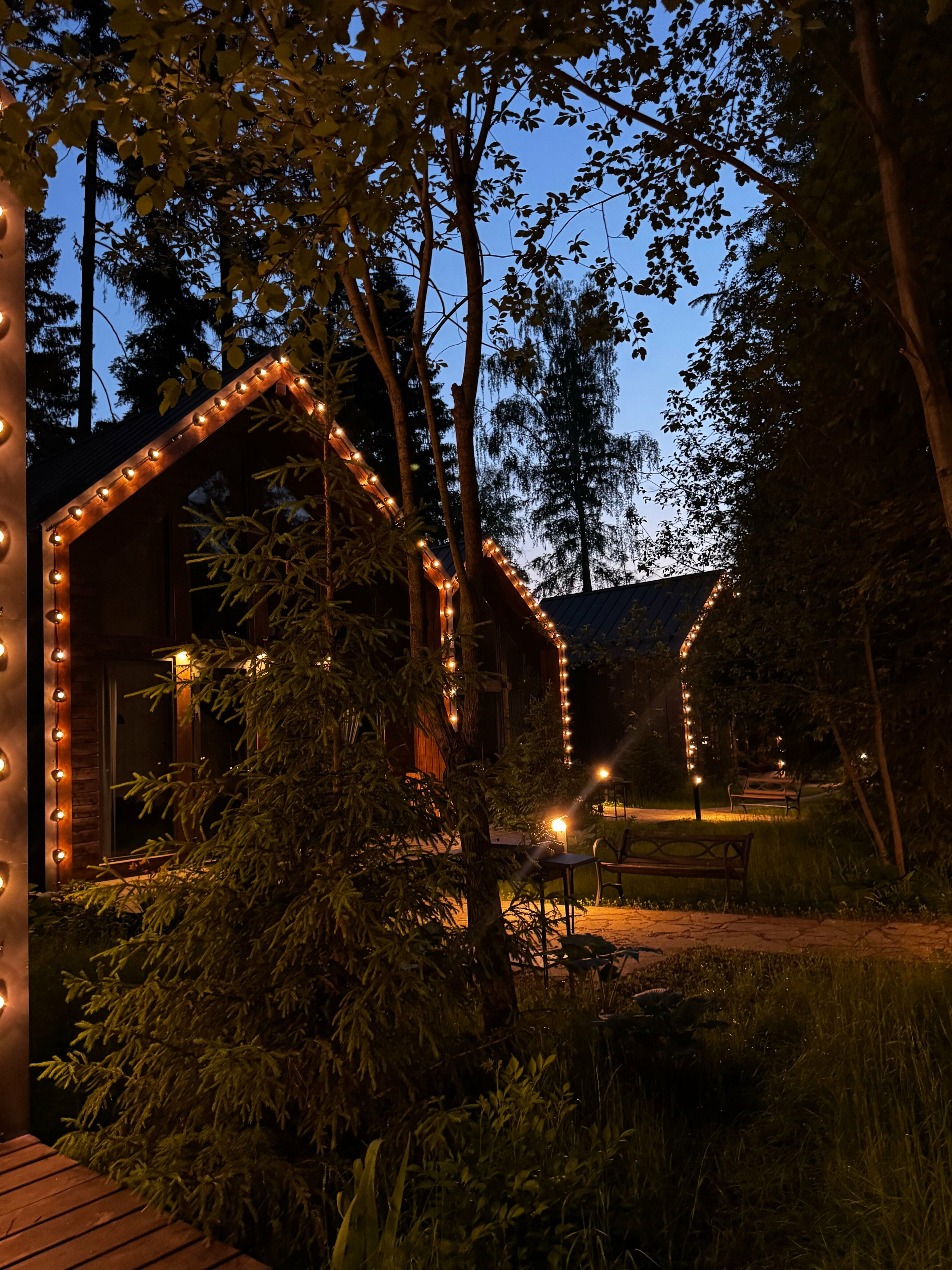 Дом с видом на лес