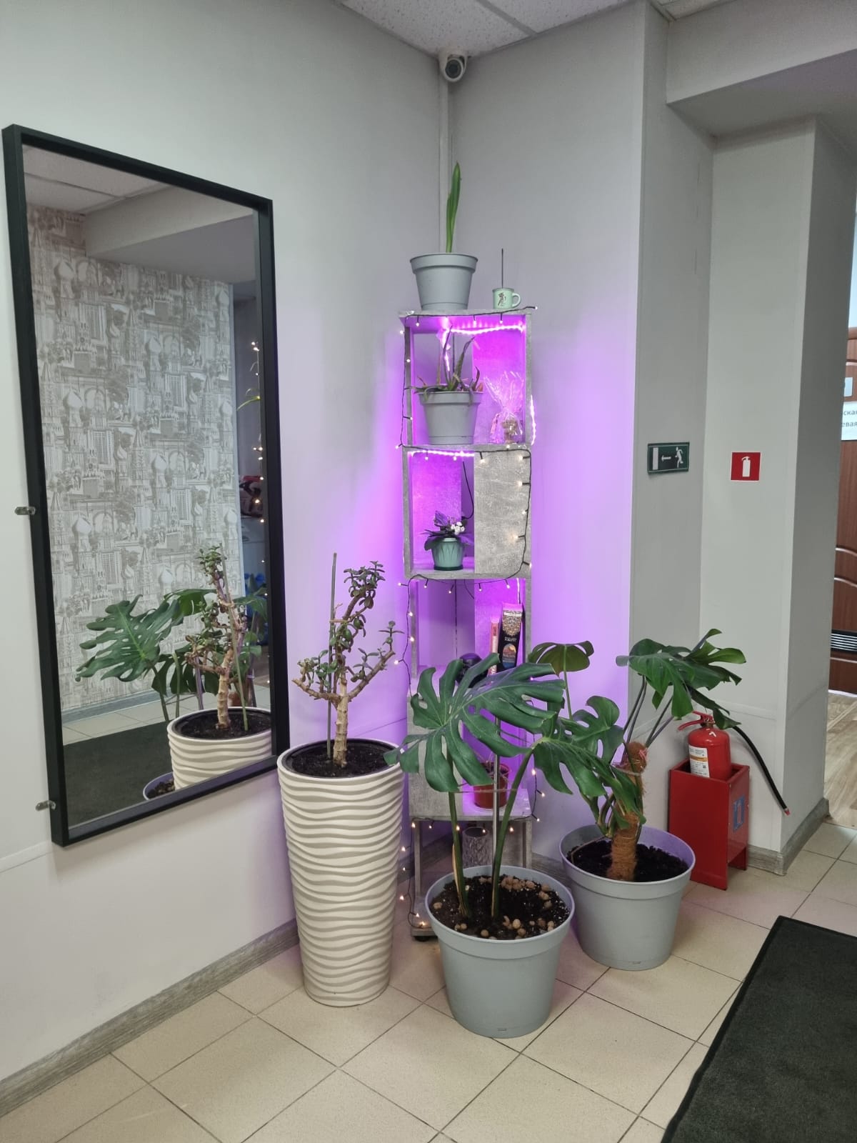 Кровать в общем номере для мужчин