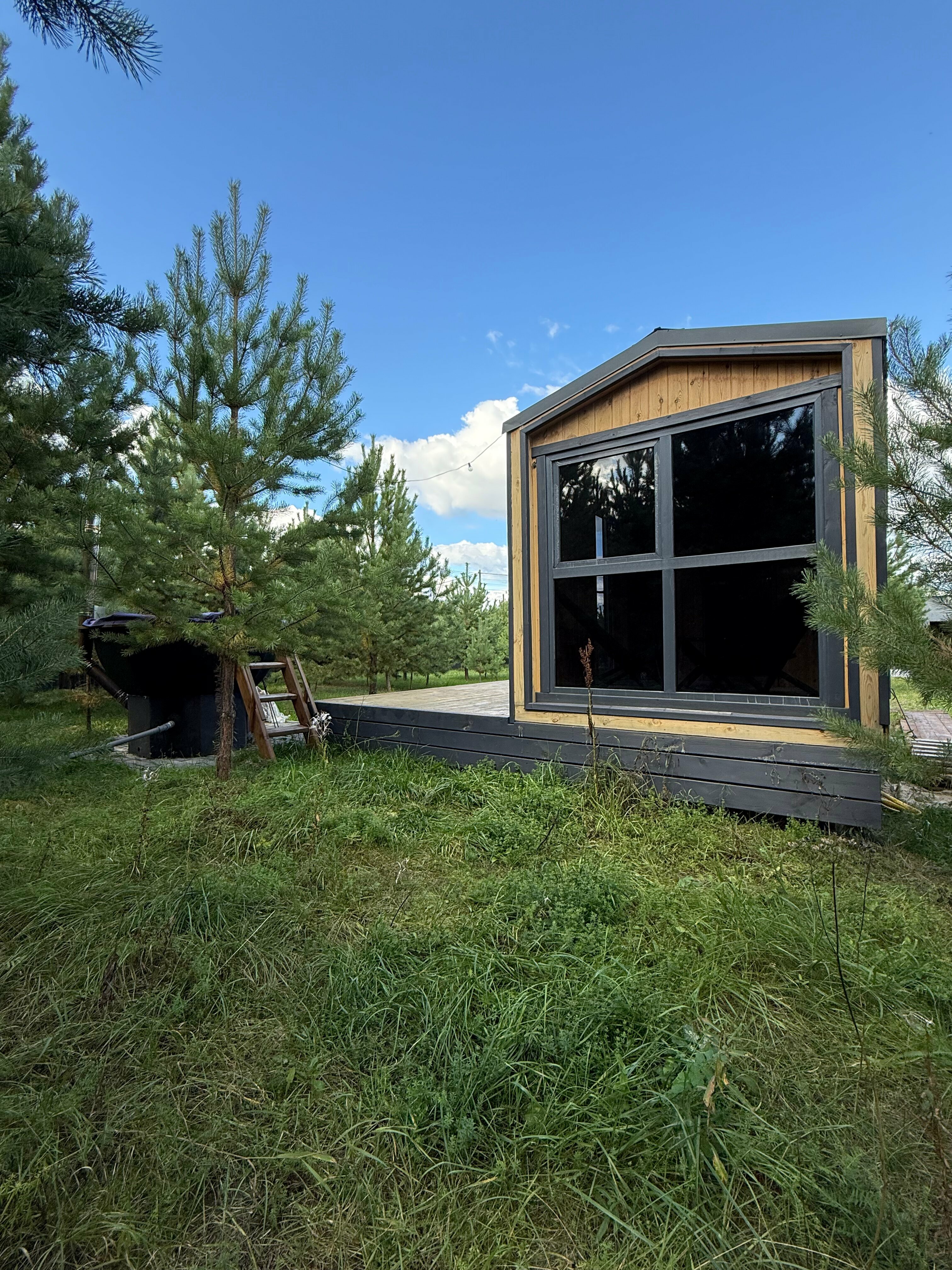 Коттедж с видом на лес