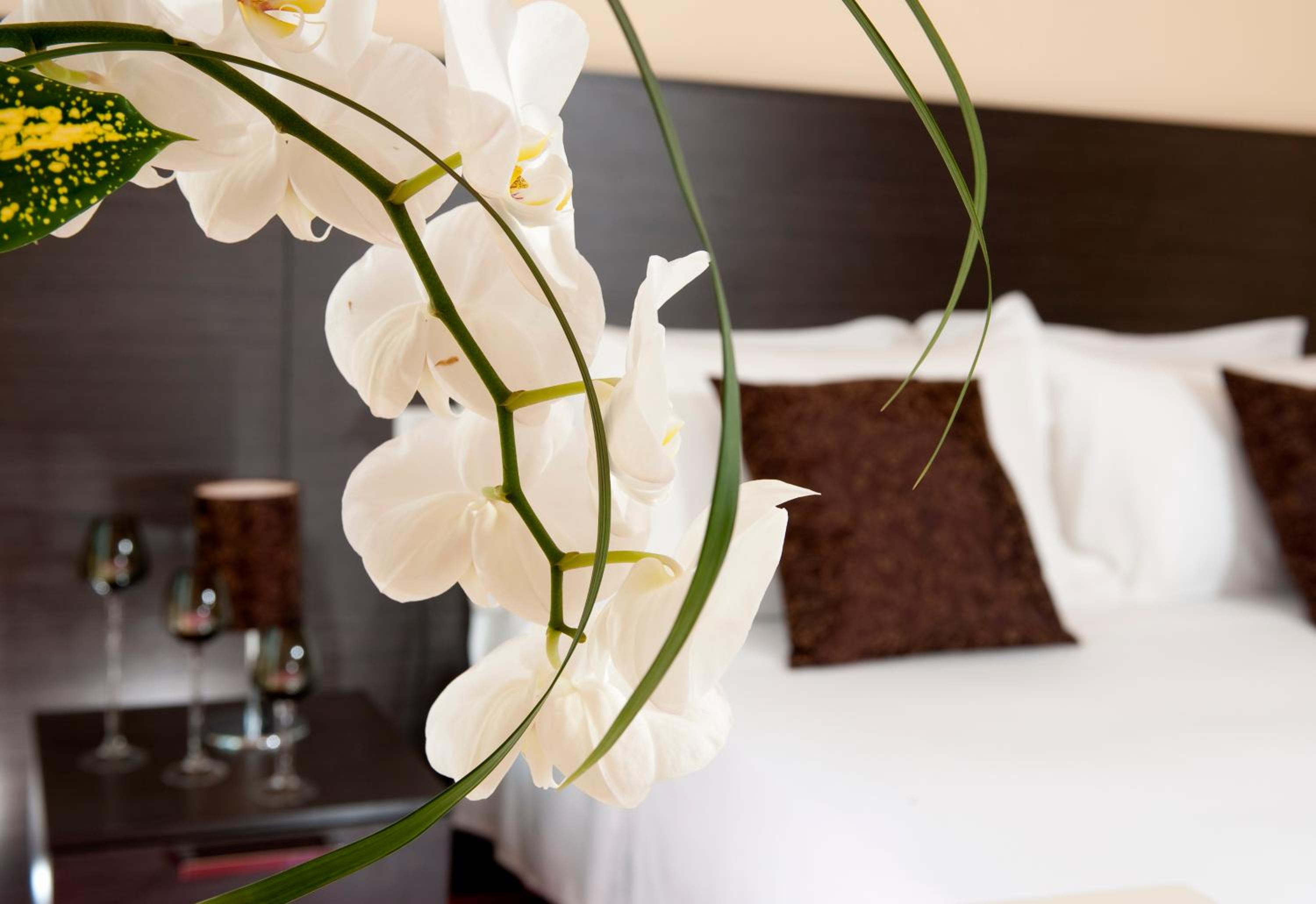 Quadruple Room with Balcony