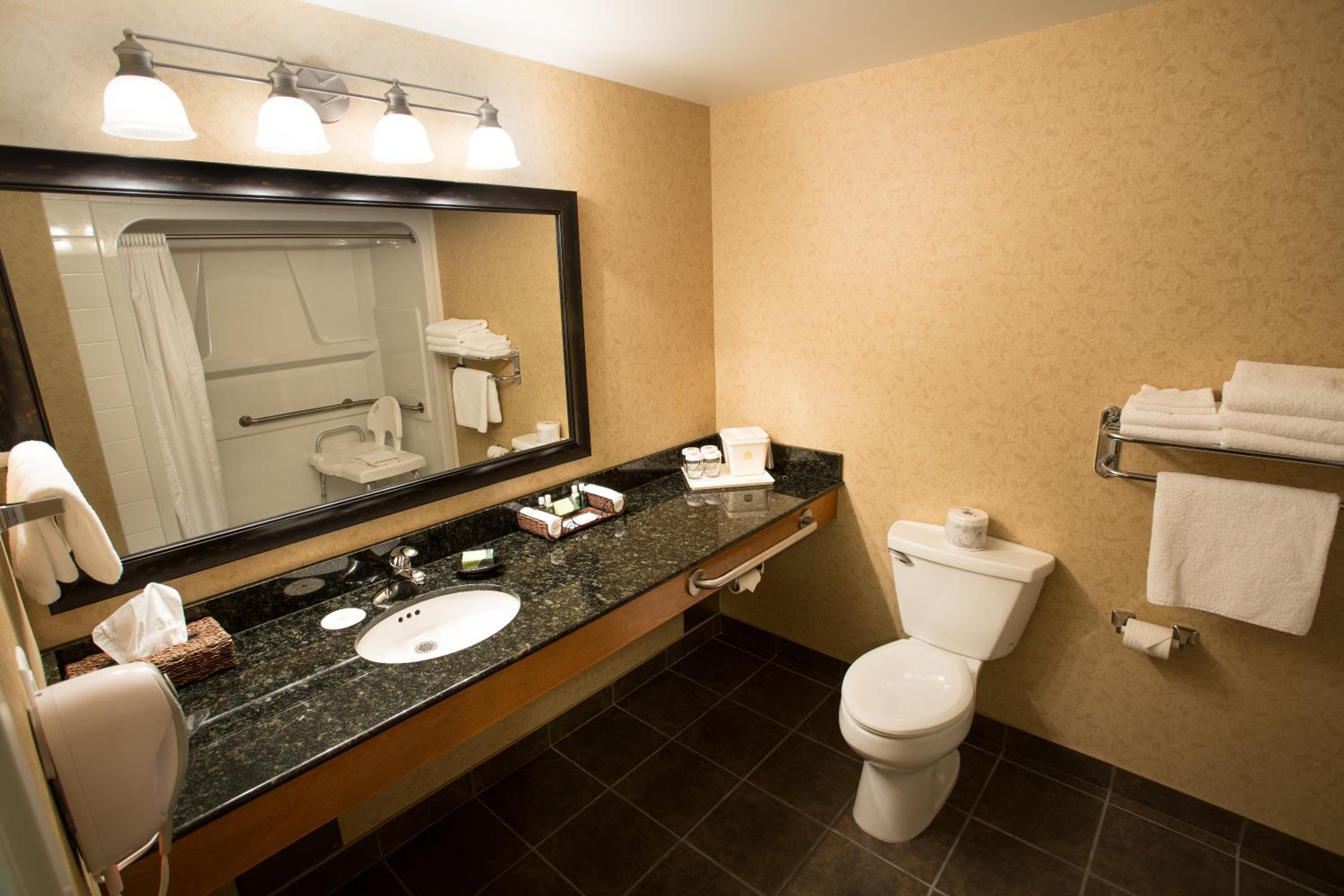 King Room with Mobility Accessible Roll-In Shower and Sofa Bed