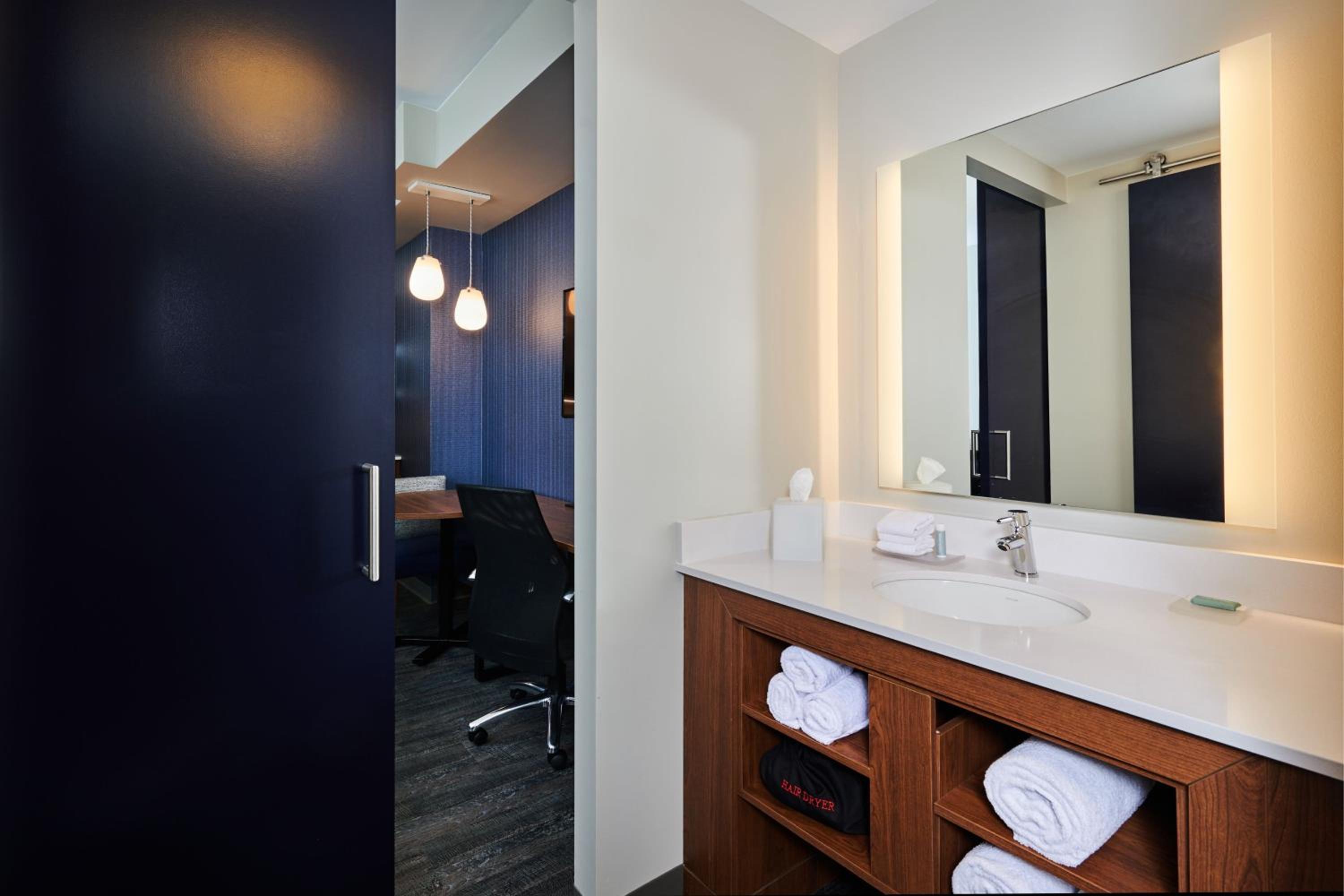 1 Bedroom Suite with 1 King Bed, Sofa bed