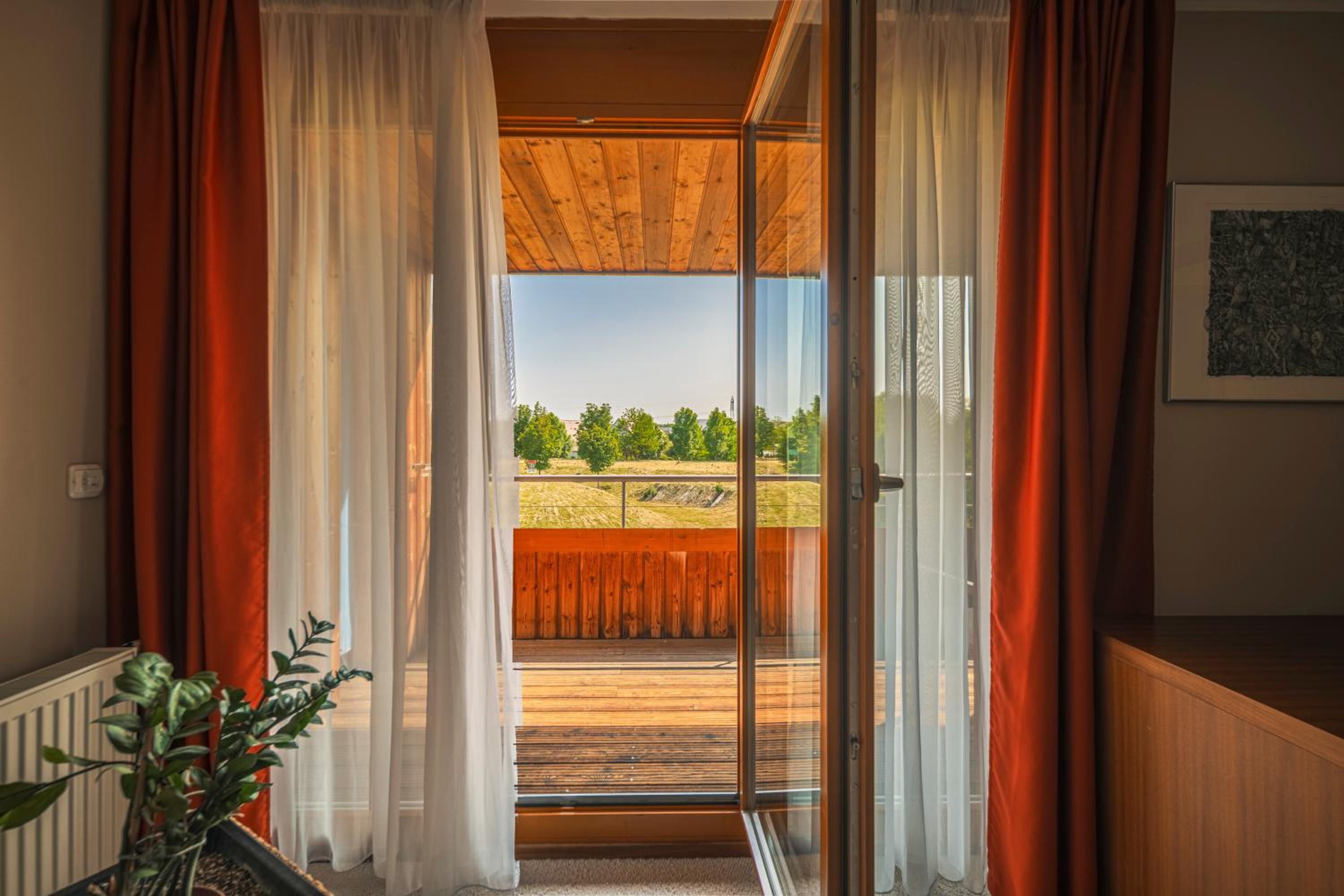 Deluxe Suite with Free Wellness Entrance