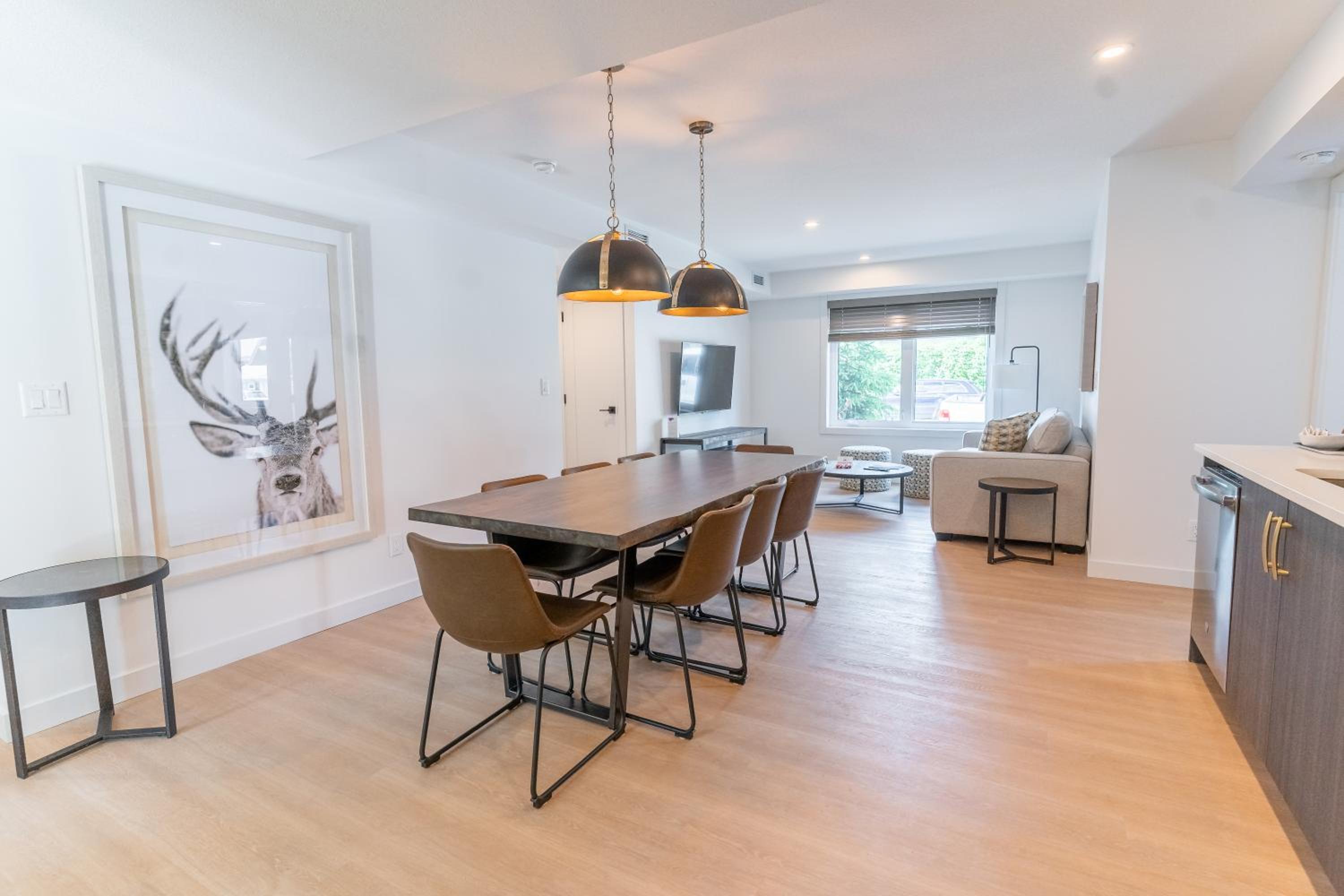 Three Bedroom Plus Bunk Apartment