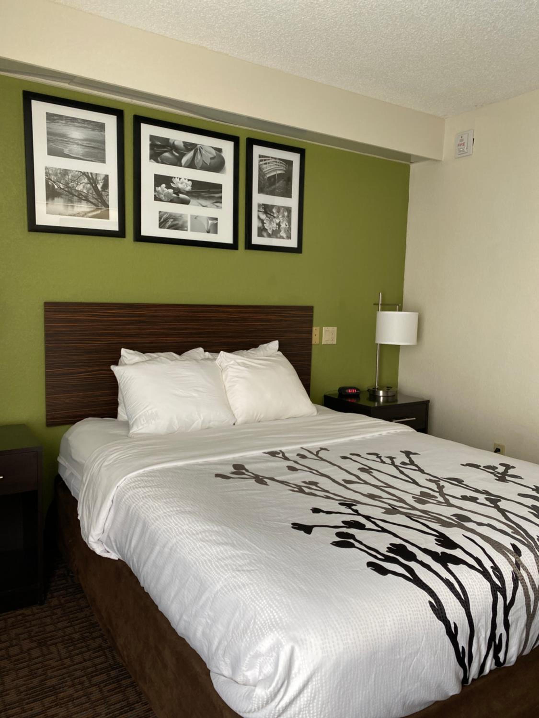 Queen Room - Accessible/Non-Smoking