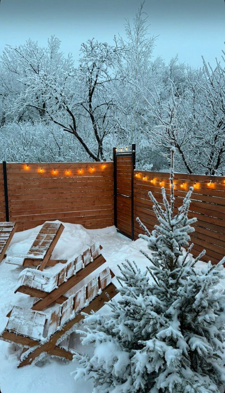 Дом с видом на лес