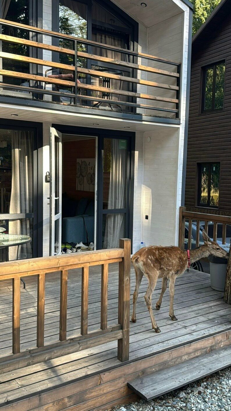 Дом с видом на горы