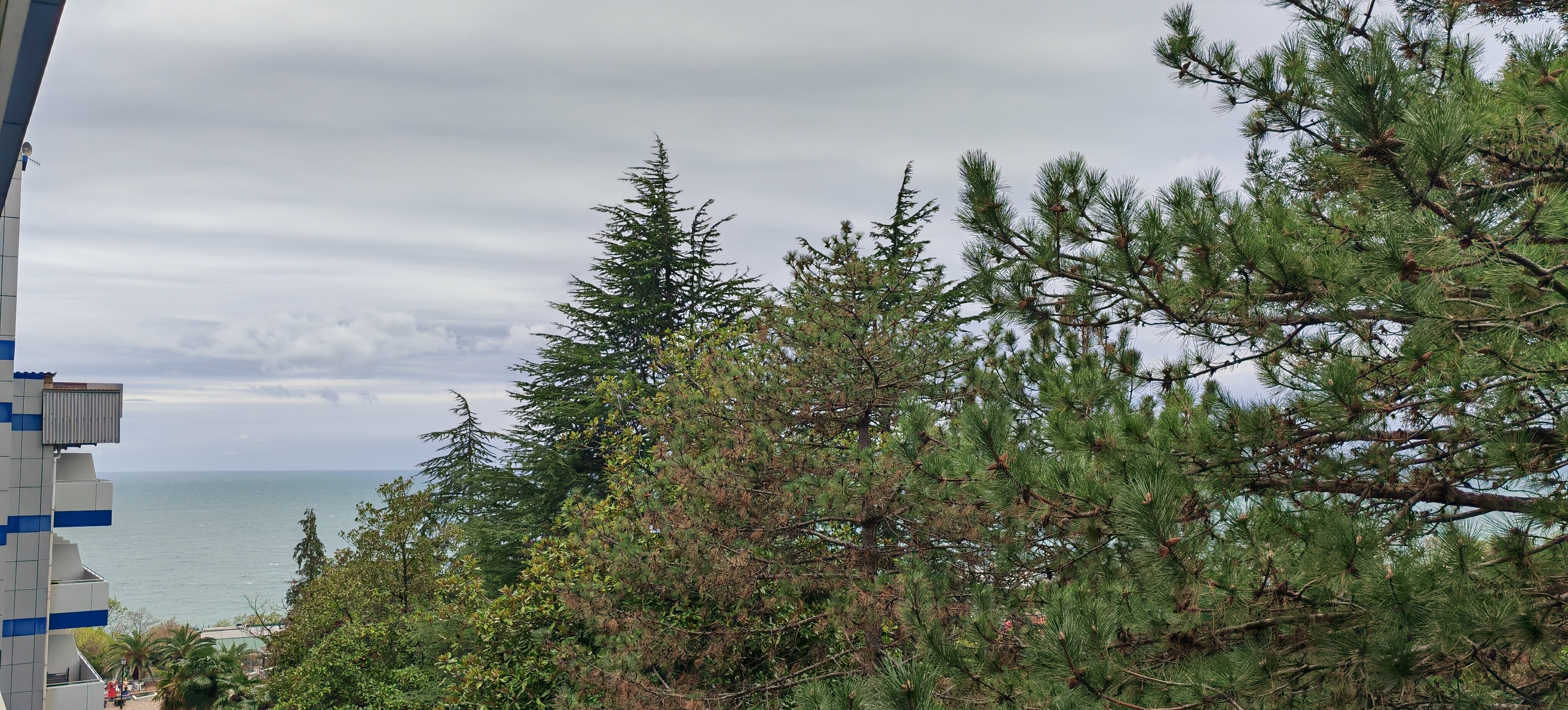 Люкс Плюс DBL (вид на море и парк)