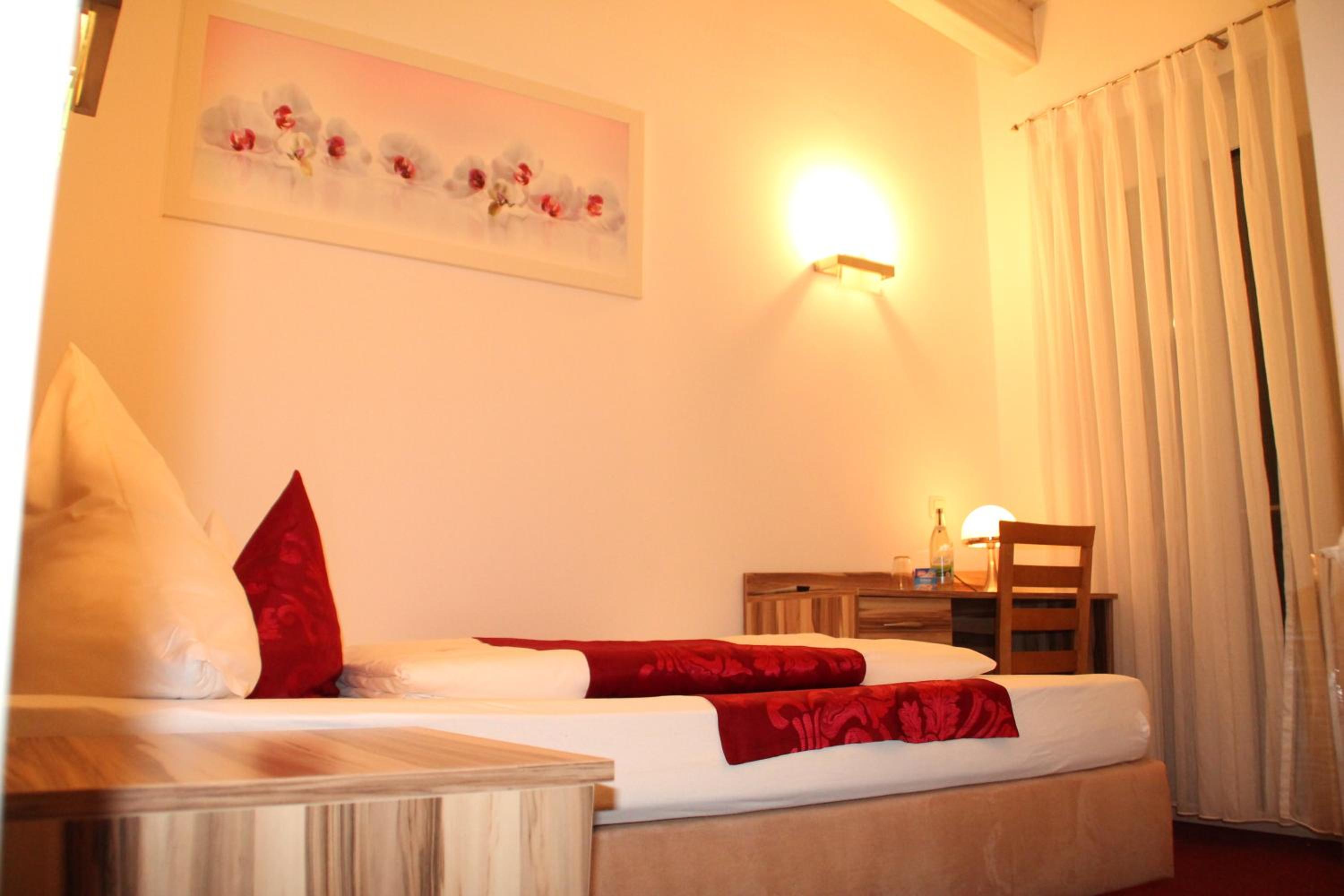 Single Room with french balcony 