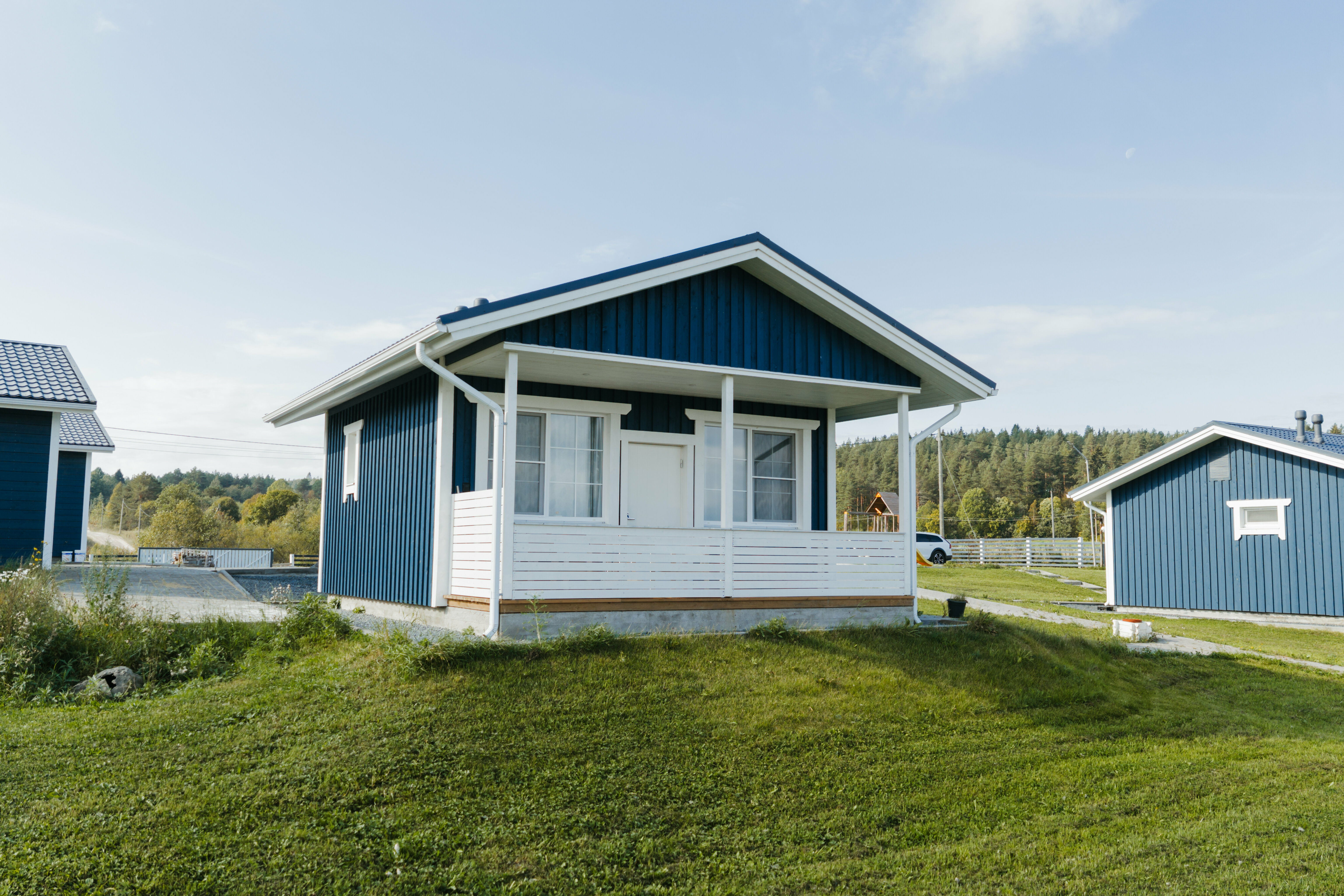 Черника Маленькая 45м2 без питомцев