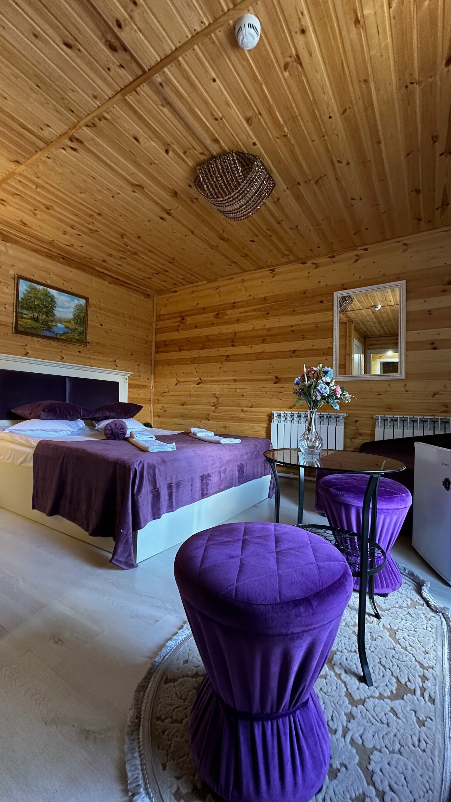 Двухместный номер с 1 кроватью и видом на горы