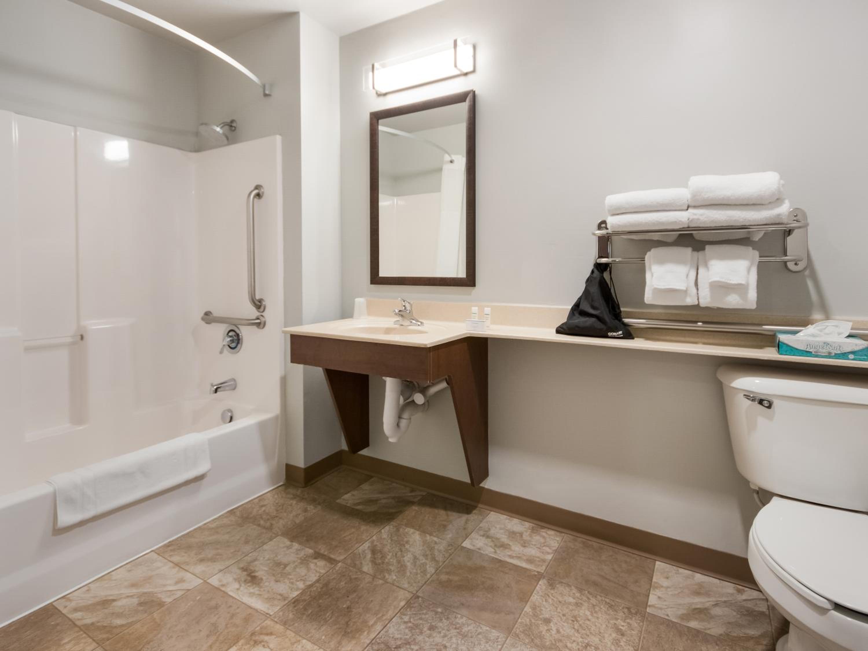 Queen Room - Hearing & Mobility Accessible - Roll In Shower
