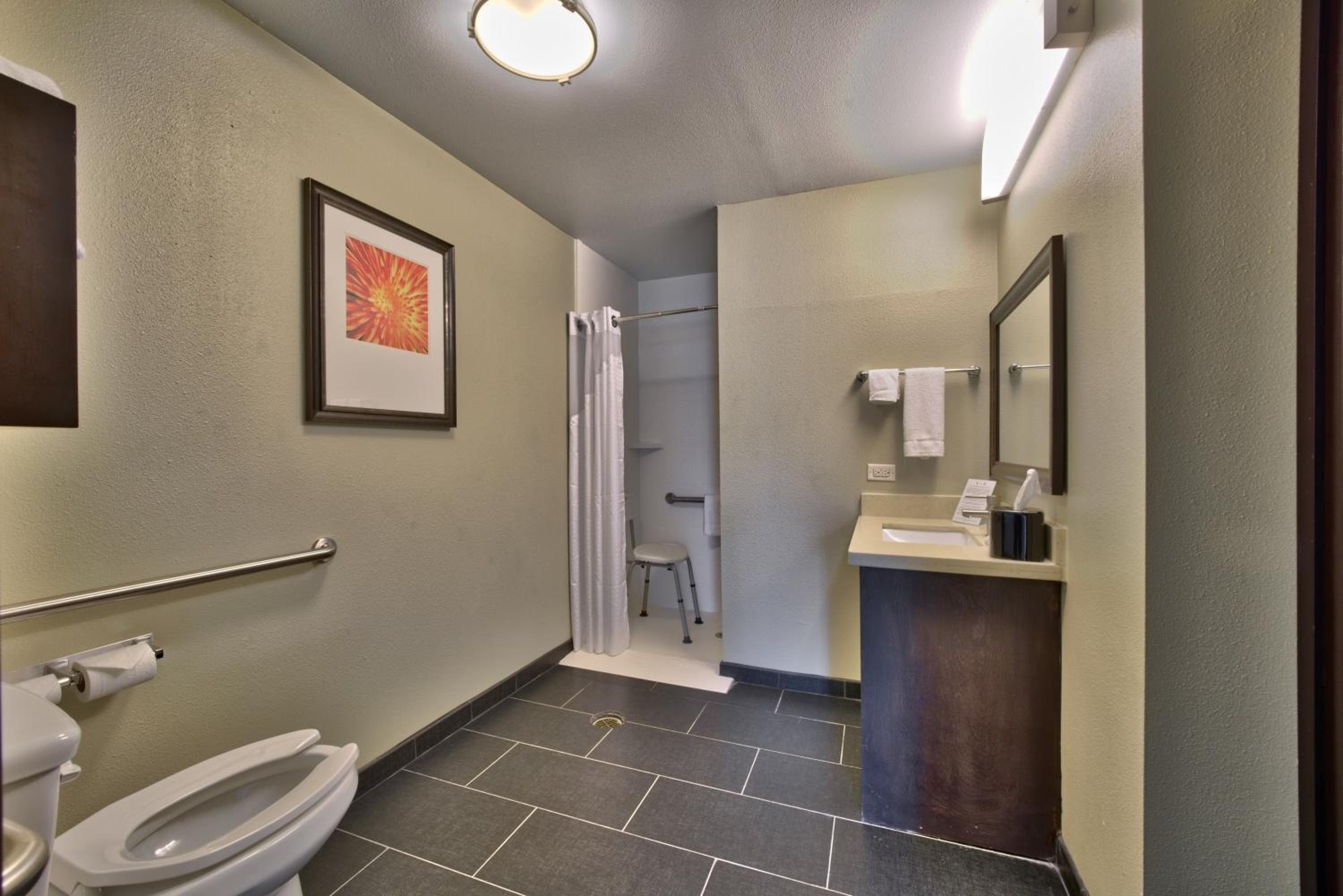 King Studio Suite - Mobility Access Roll in Shower/Non-Smoking