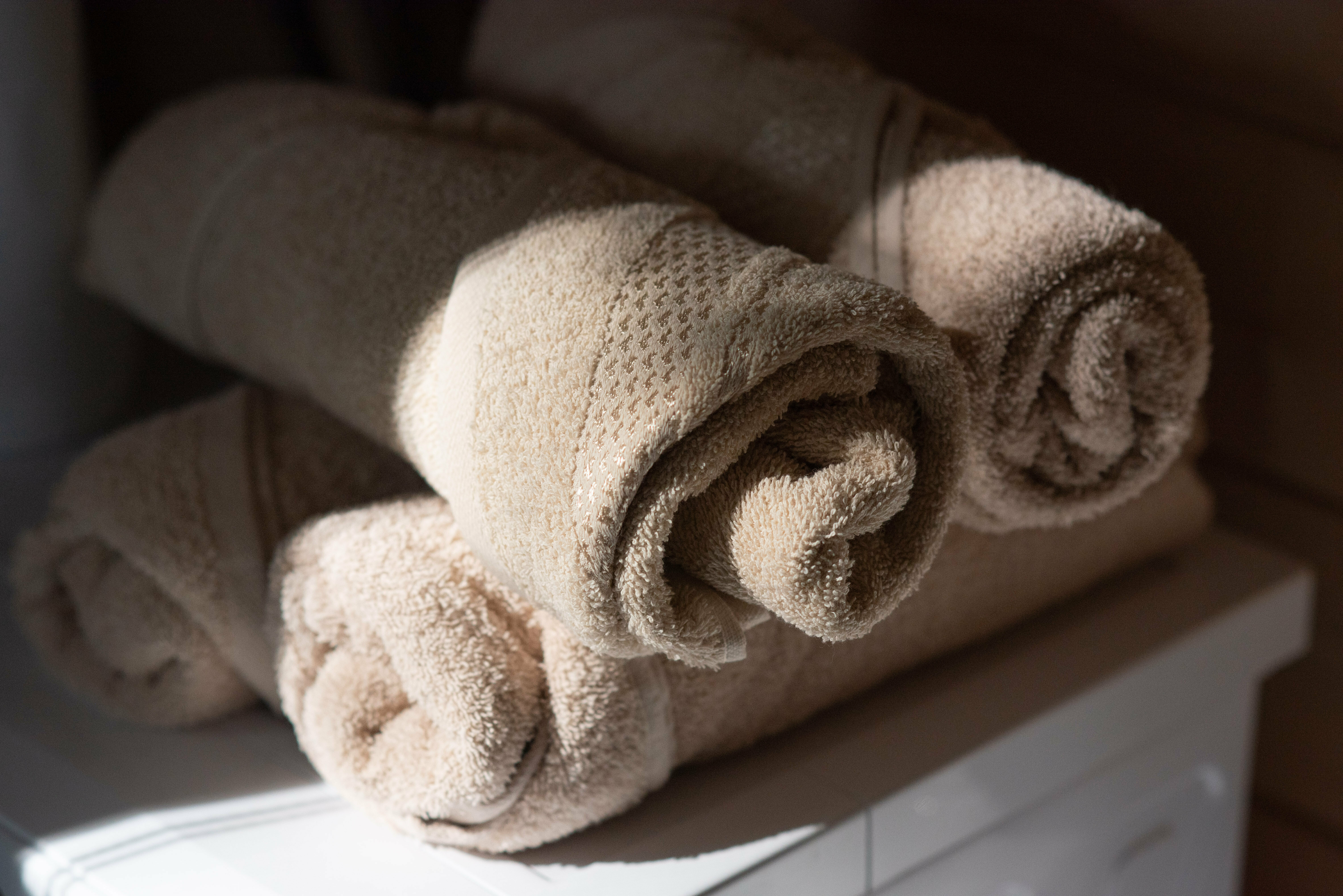 Дом с видом на лес