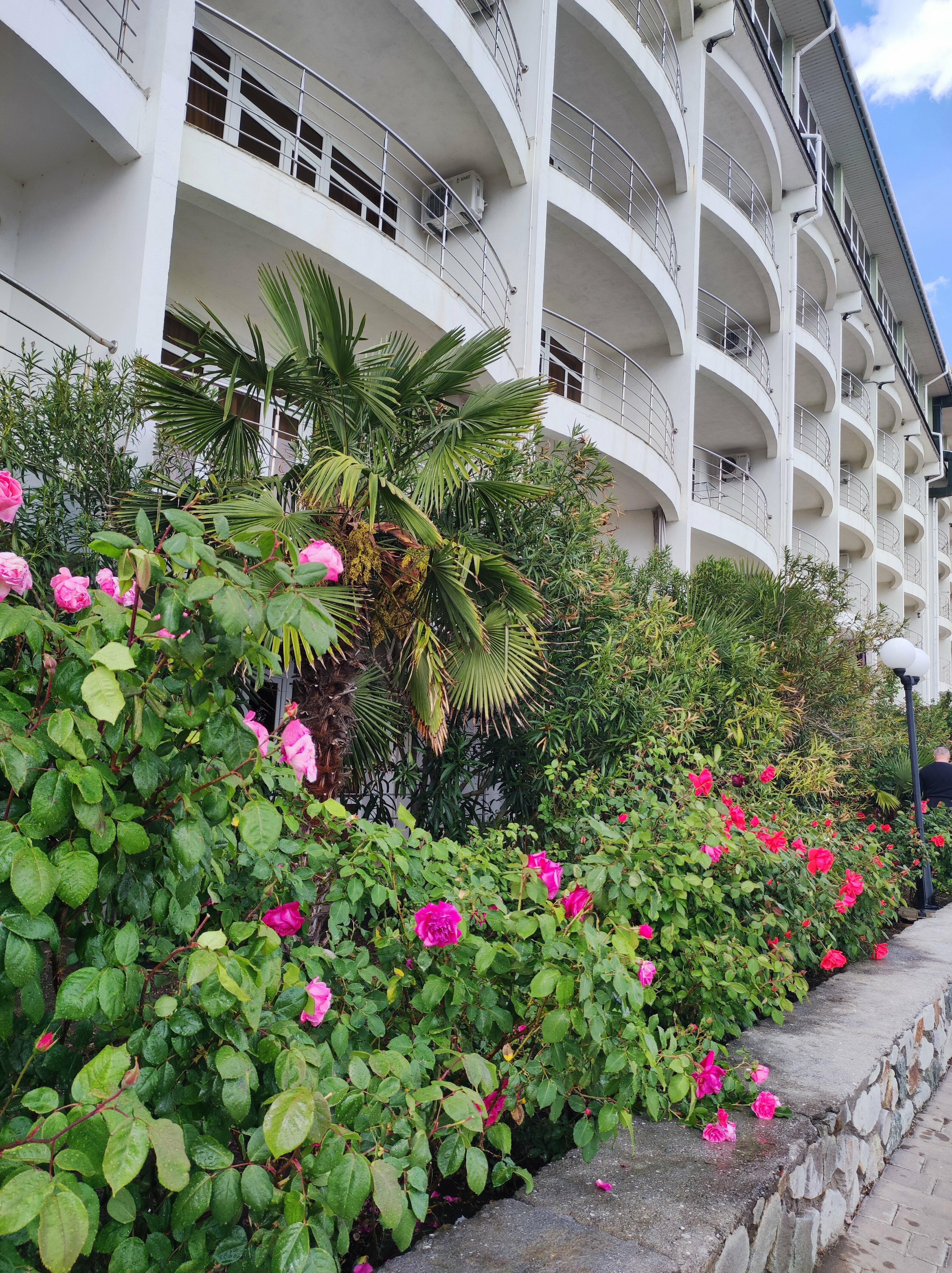 Апартаменты с мини-кухней (первая линия)