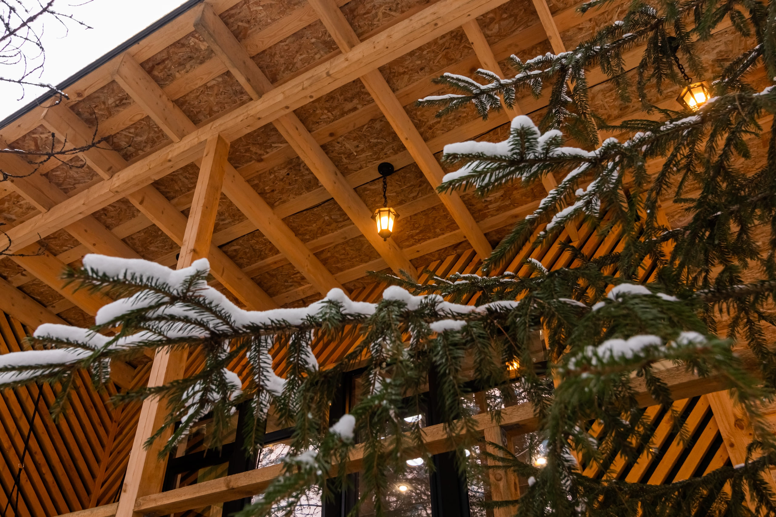 Номер «Сосновый бор»