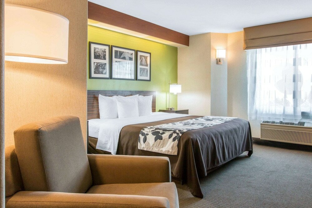 Room, 1 King Bed, Accessible, Non Smoking