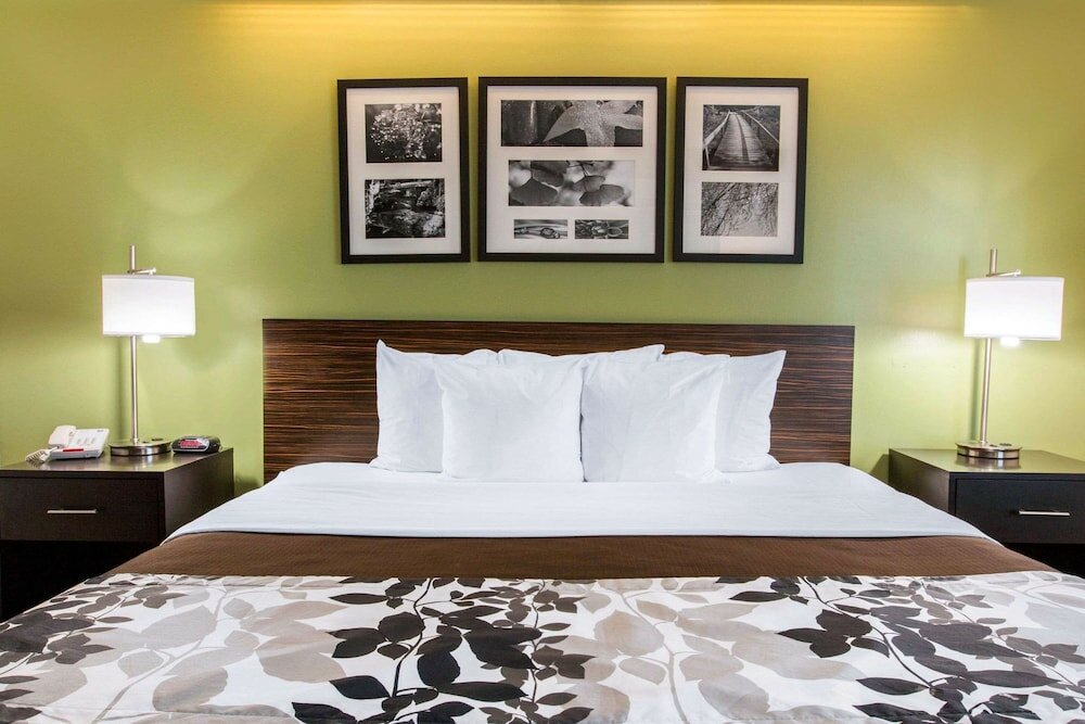 Room, 1 King Bed, Accessible, Non Smoking