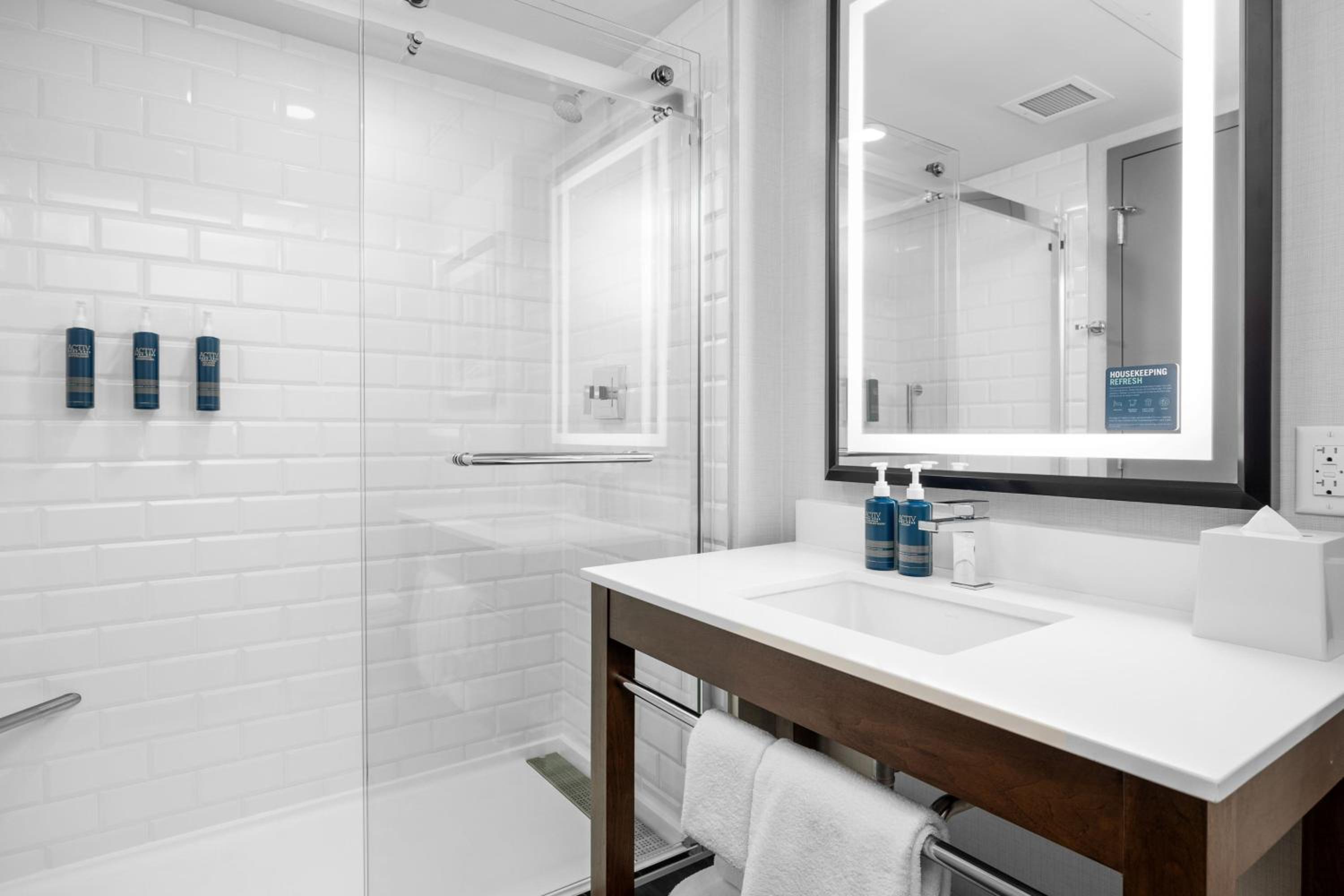 Premium Deluxe, 1 King, 1 Sofa bed