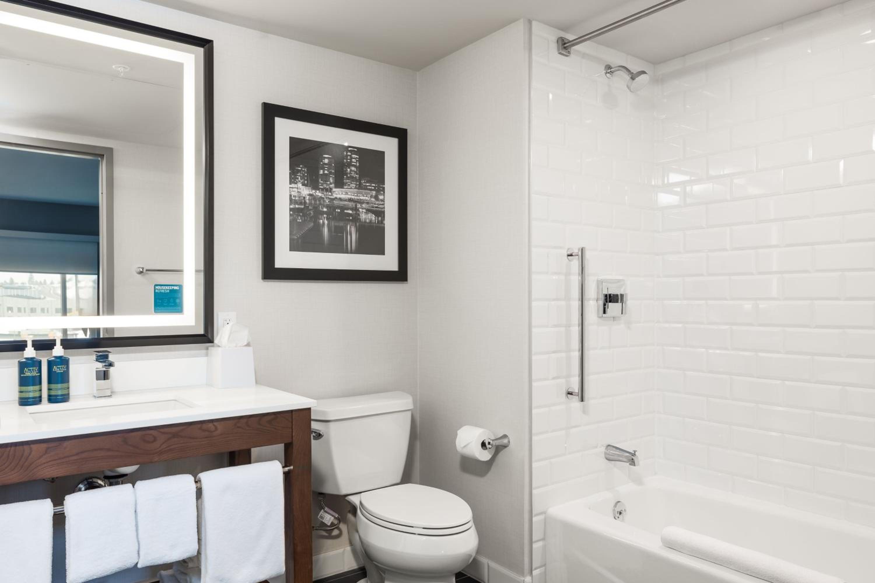 Premium 1 Bedroom Suite, 1 King, 1 Sofa bed