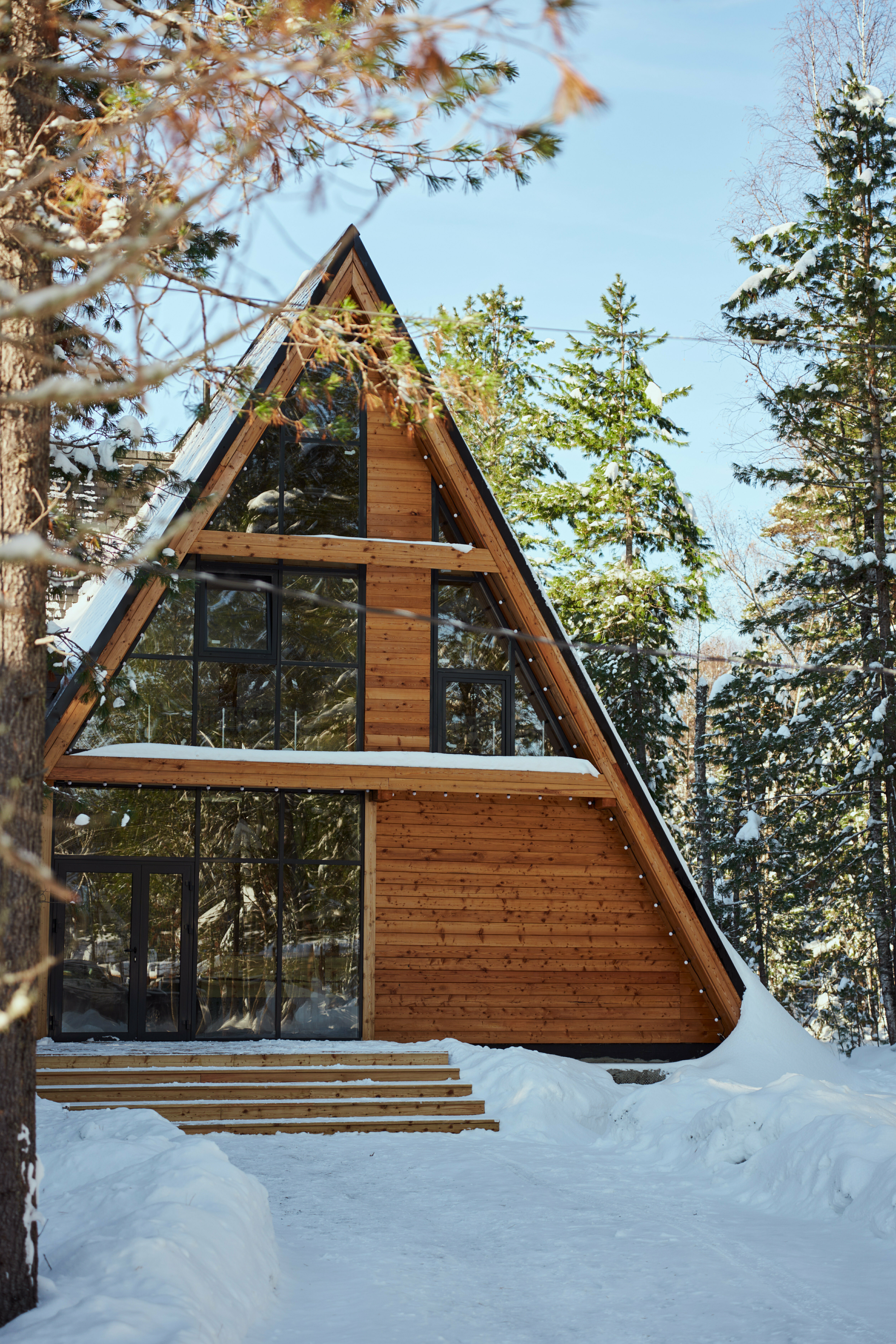 Дом с видом на лес