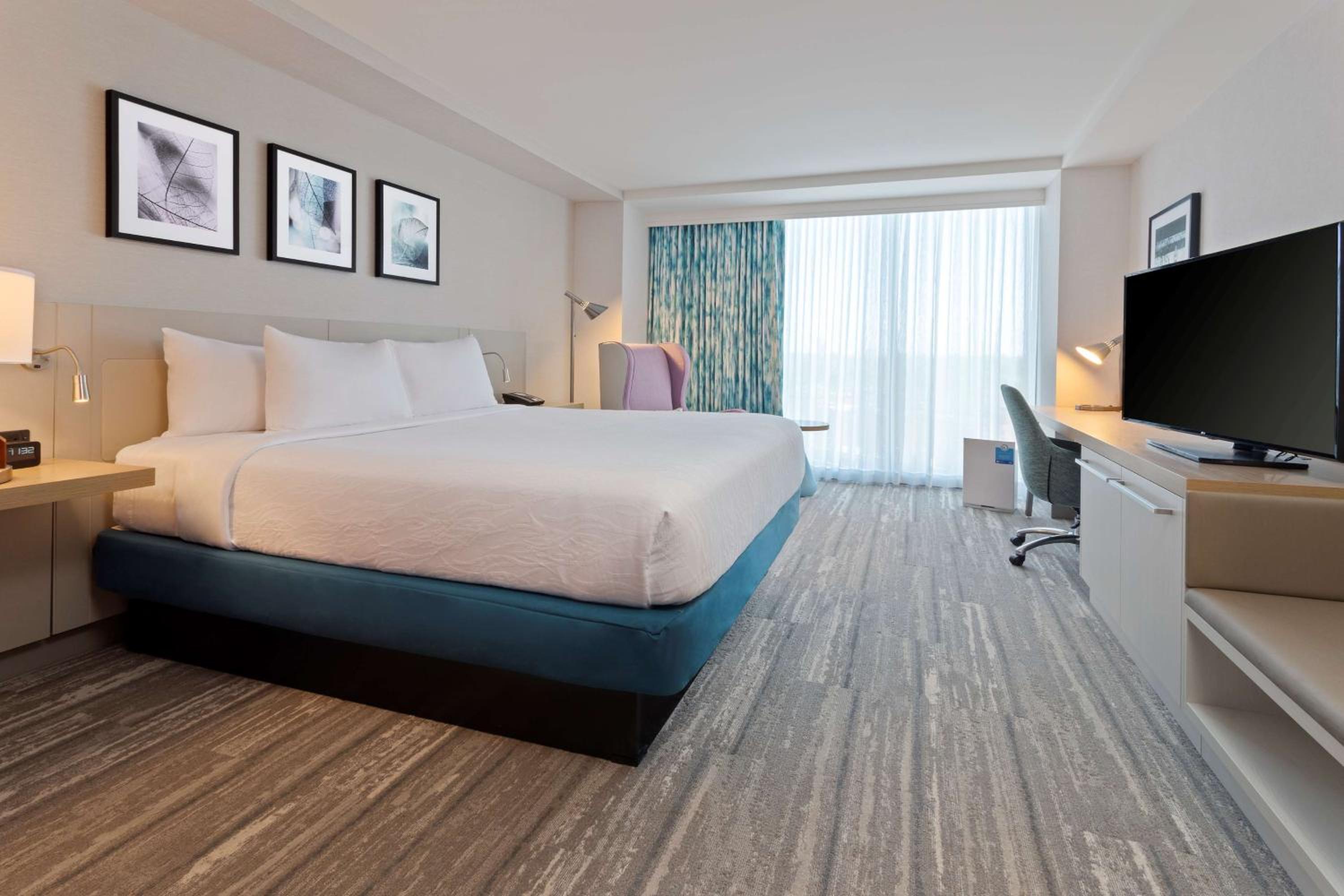 King Room