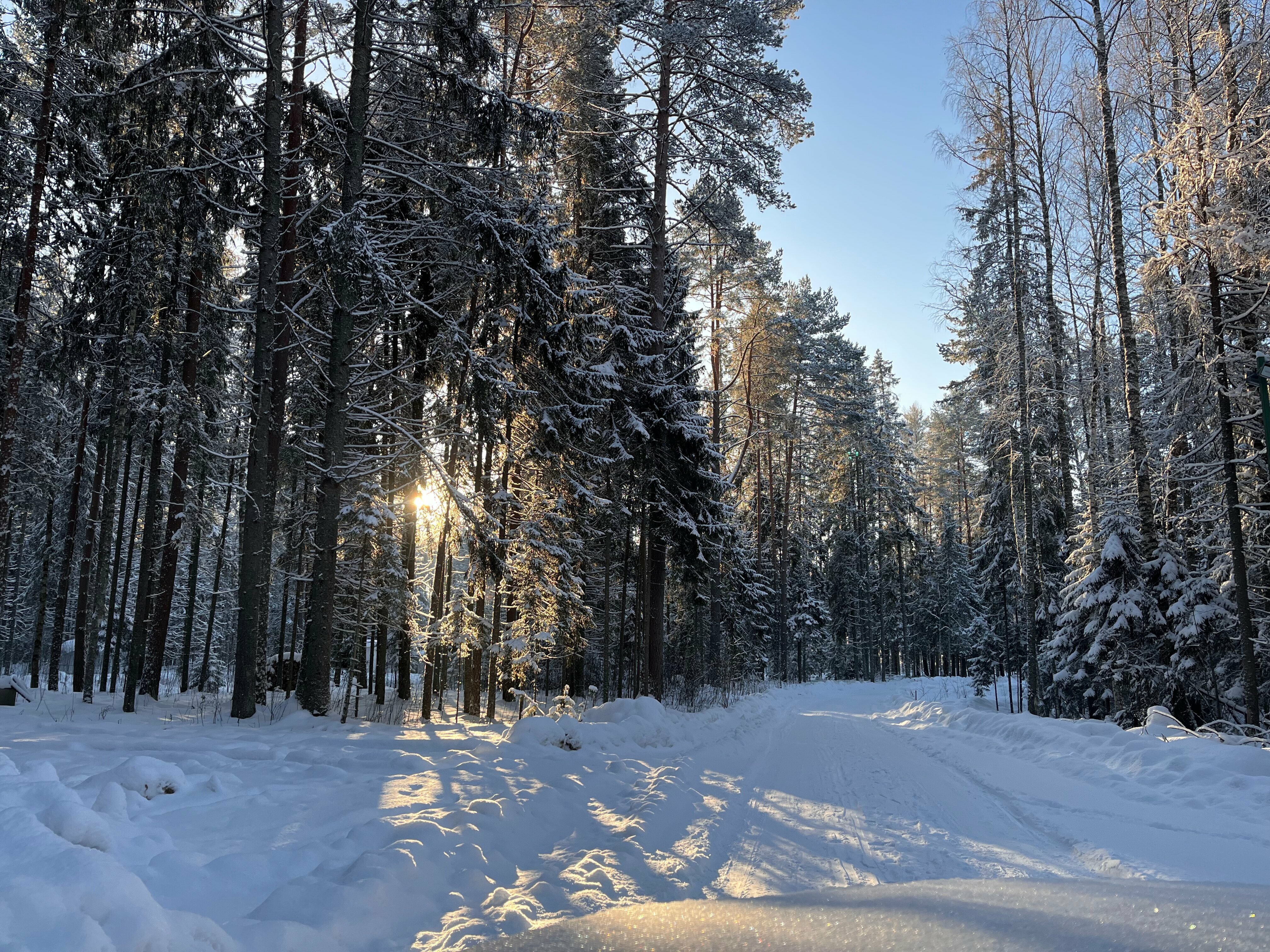 Грибной домик