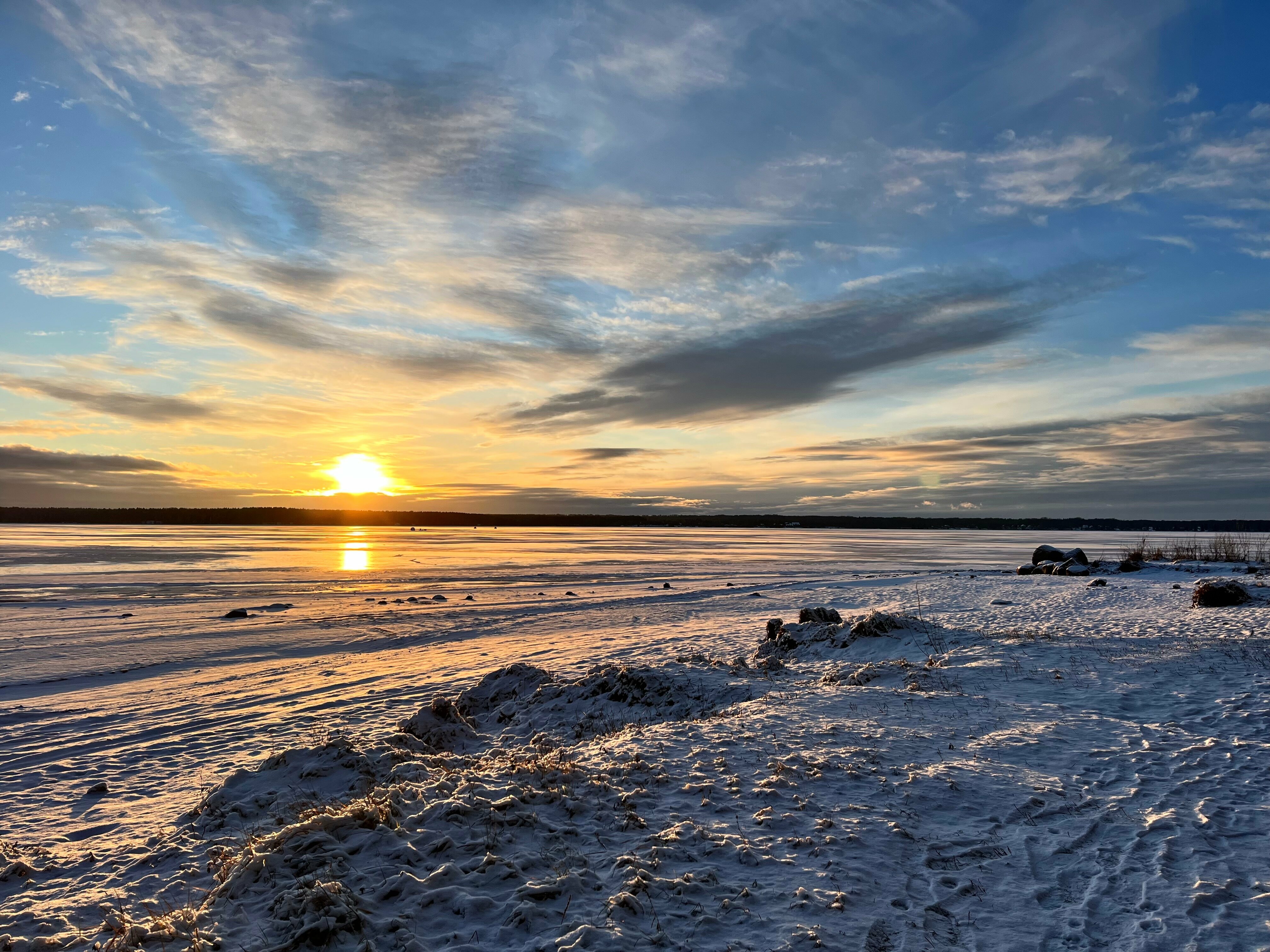 Домик на опушке