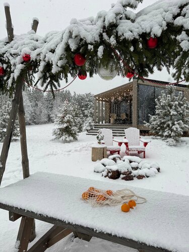 Коттедж с видом на лес в Дача в соснах