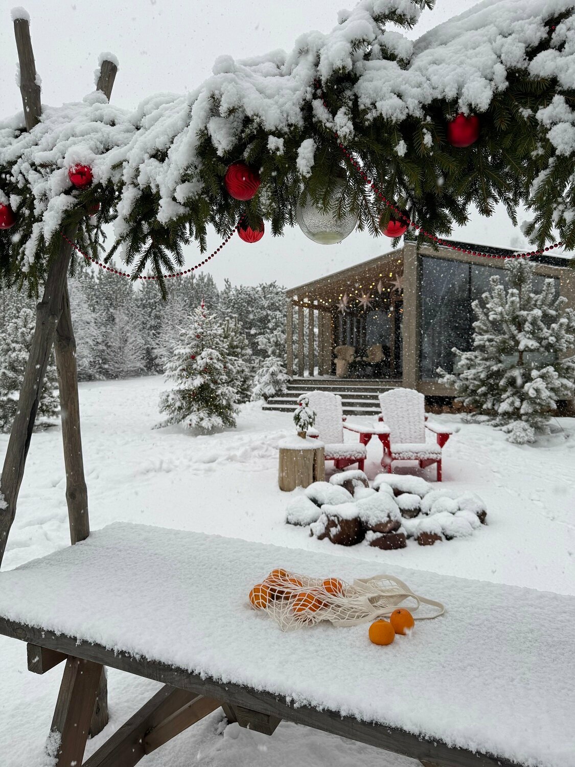 Коттедж с видом на лес