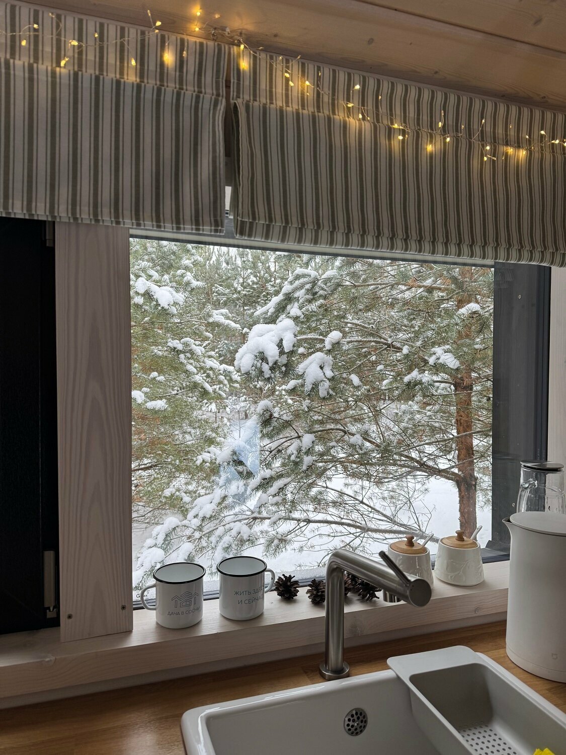 Дом с видом на лес