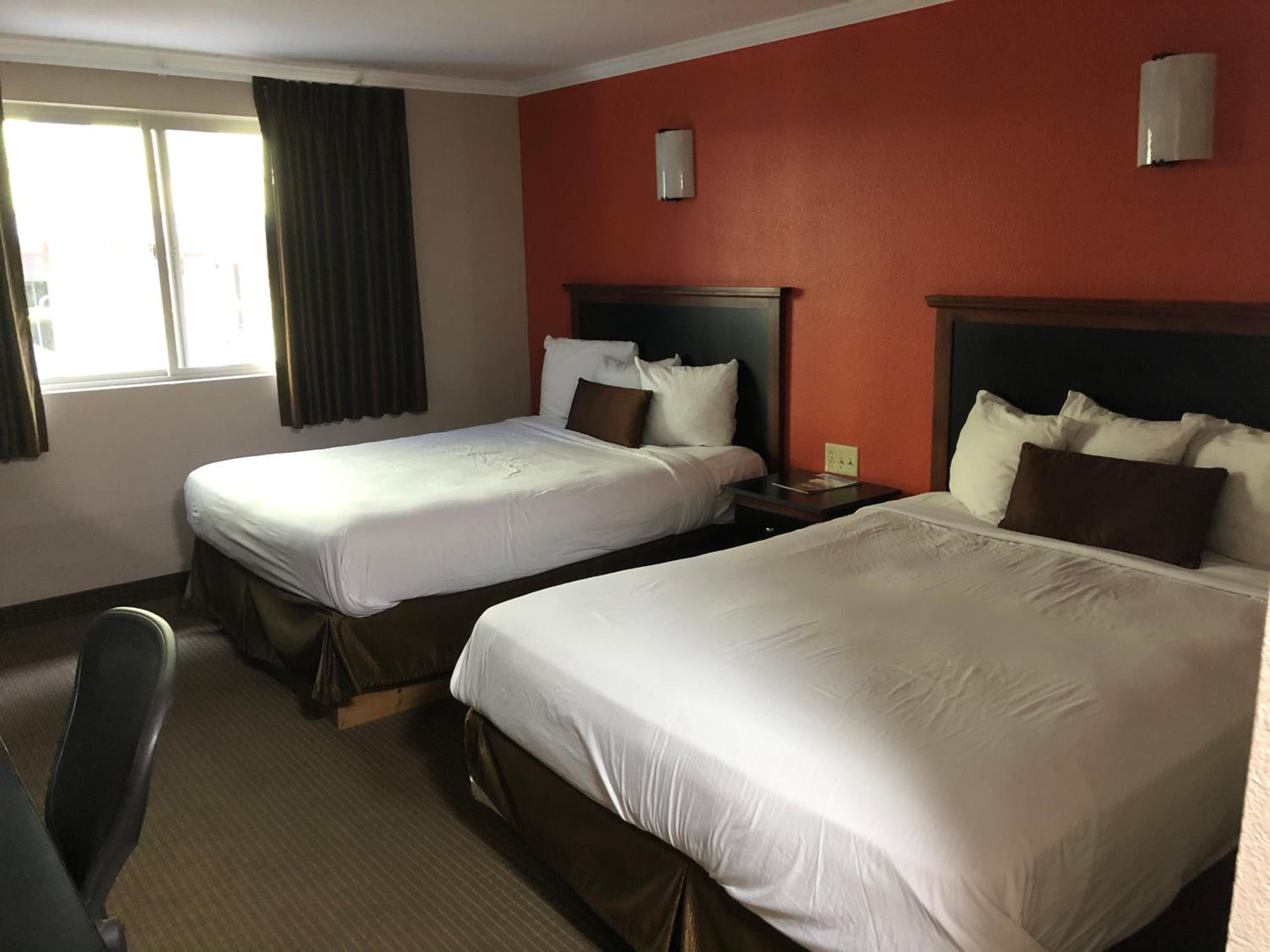 Standard Double Room with Two Double Beds