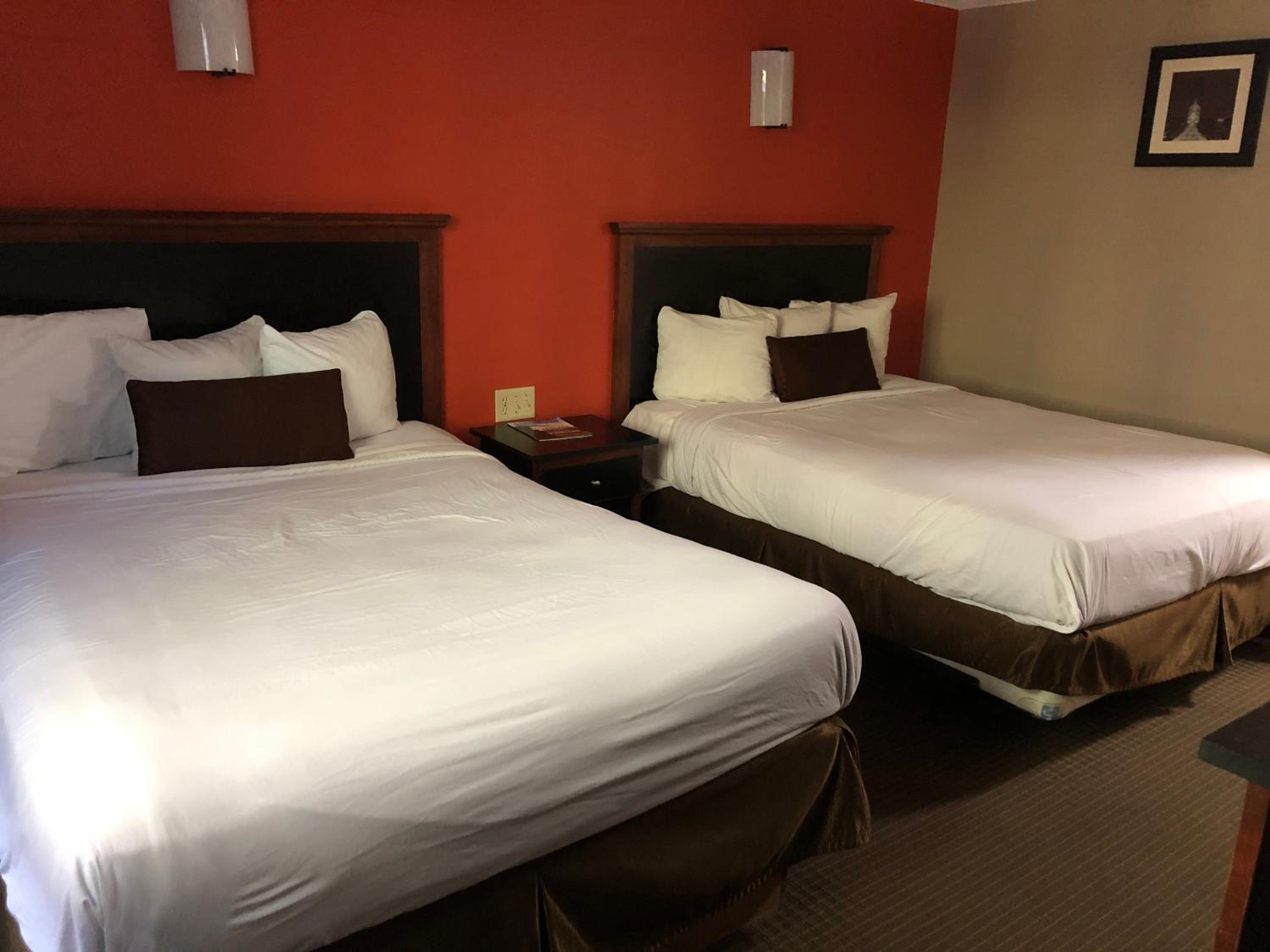 Standard Double Room with Two Double Beds