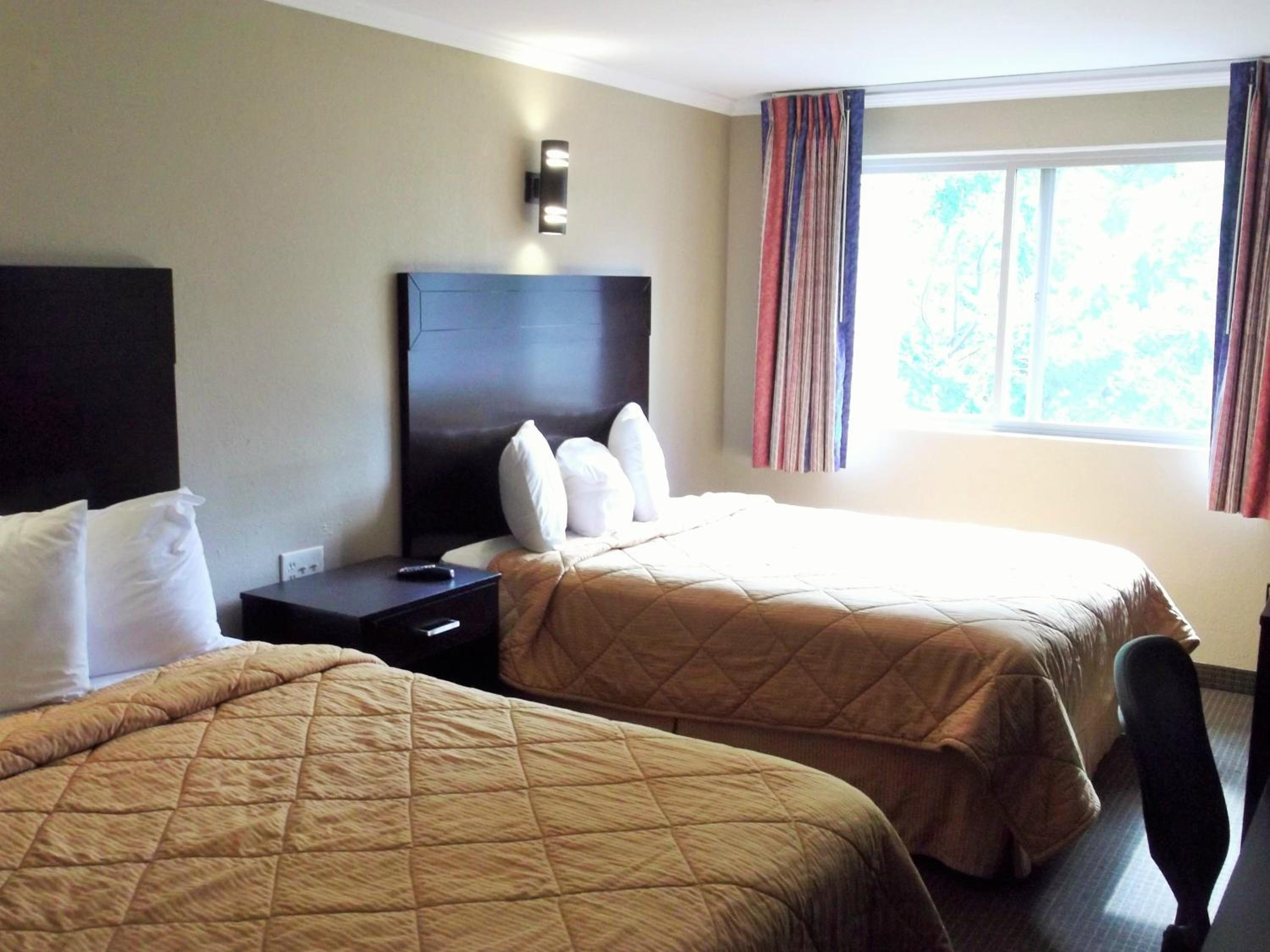 Standard Double Room with Two Double Beds