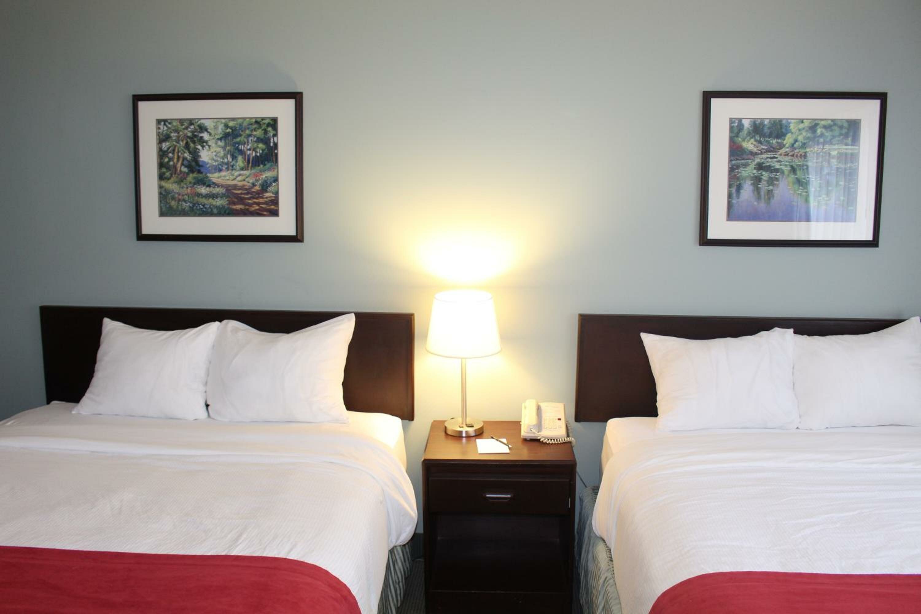Standard Double or Twin Room