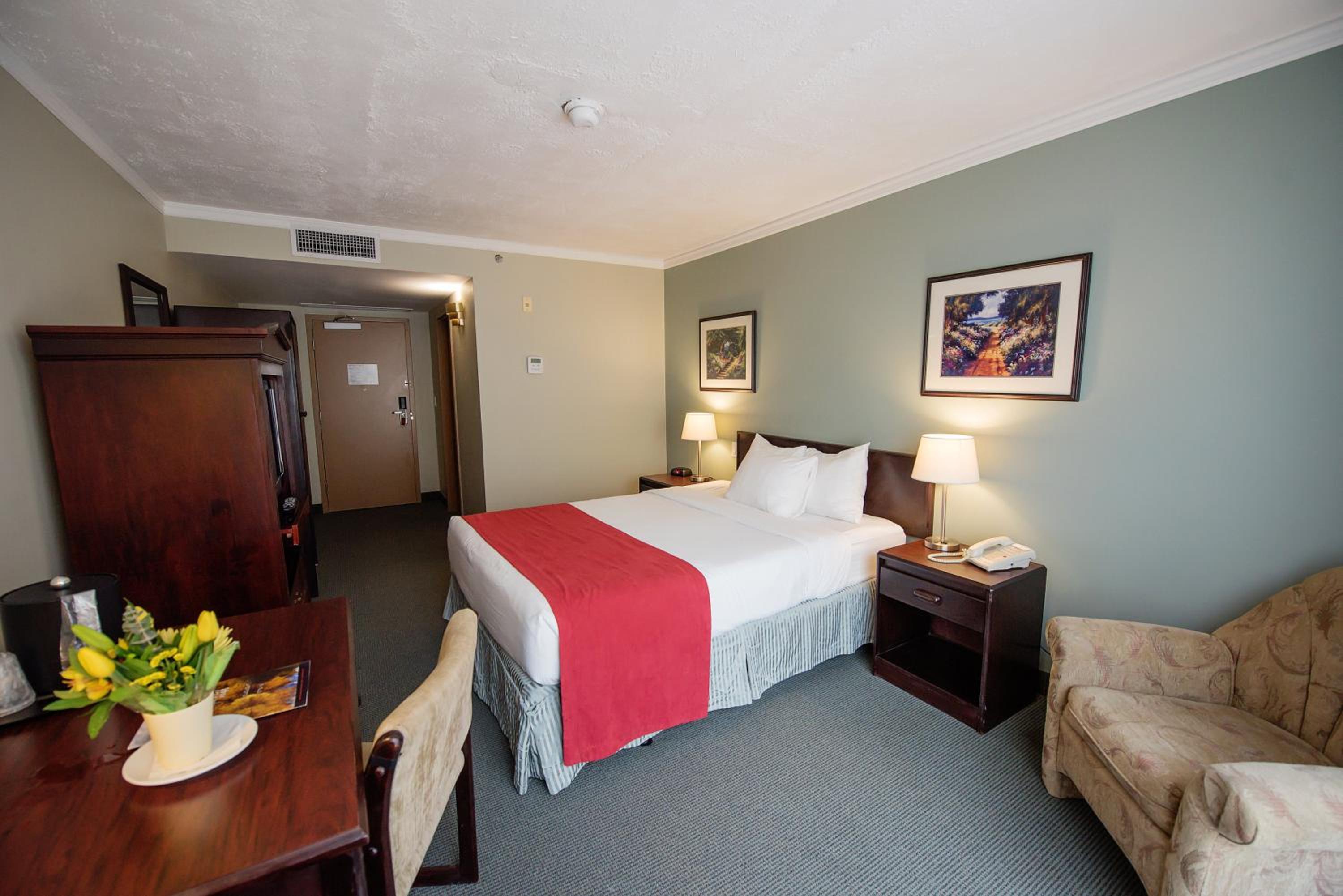 Standard Double or Twin Room