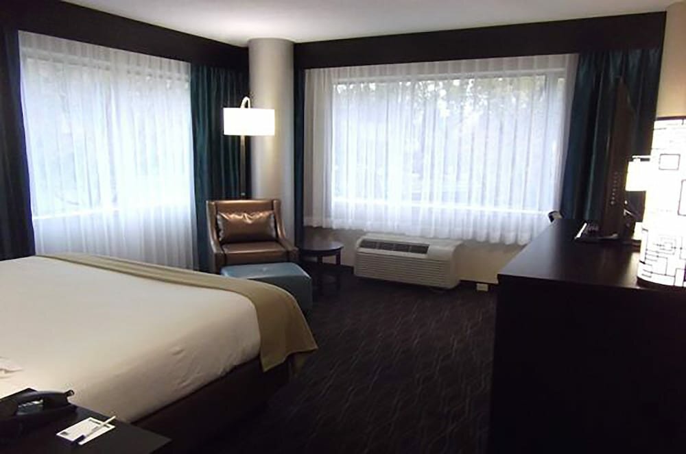 Standard Room, 1 King Bed