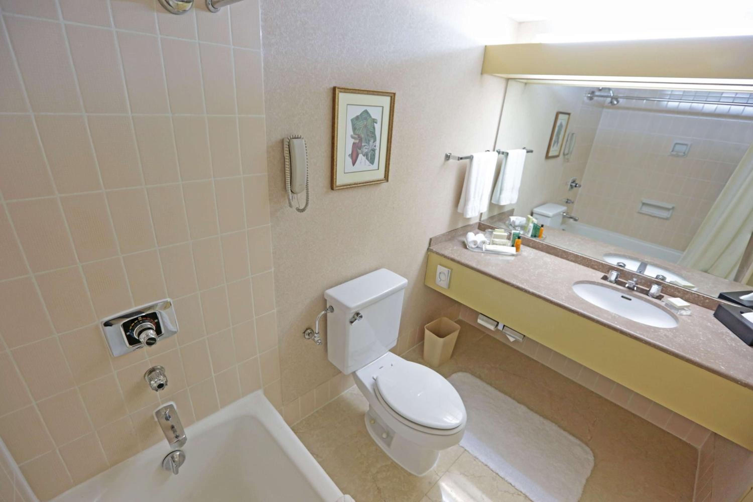 Executive Twin Room