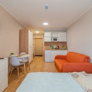 Студия семейная 25 кв.м.