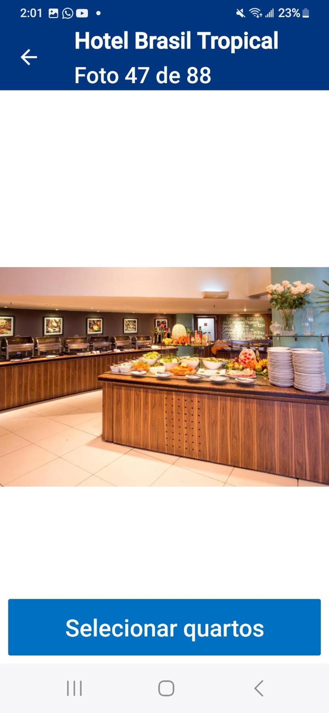 One-Bedroom Premium Apartment with Ocean View