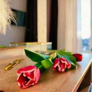 Одноместный комфорт