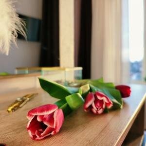 Одноместный стандарт